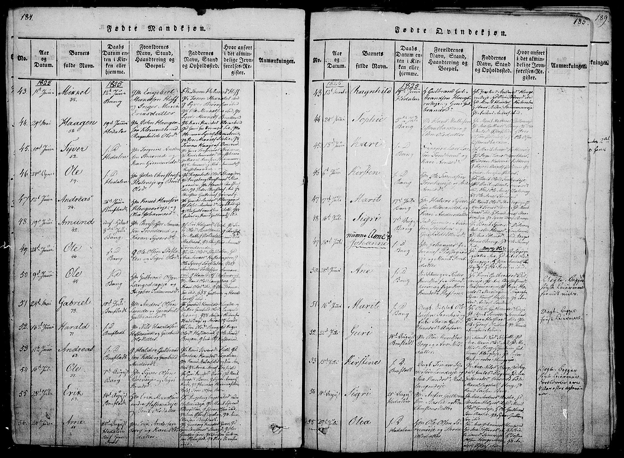 Sør-Aurdal prestekontor, SAH/PREST-128/H/Ha/Haa/L0002: Parish register (official) no. 2, 1815-1840, p. 184-185