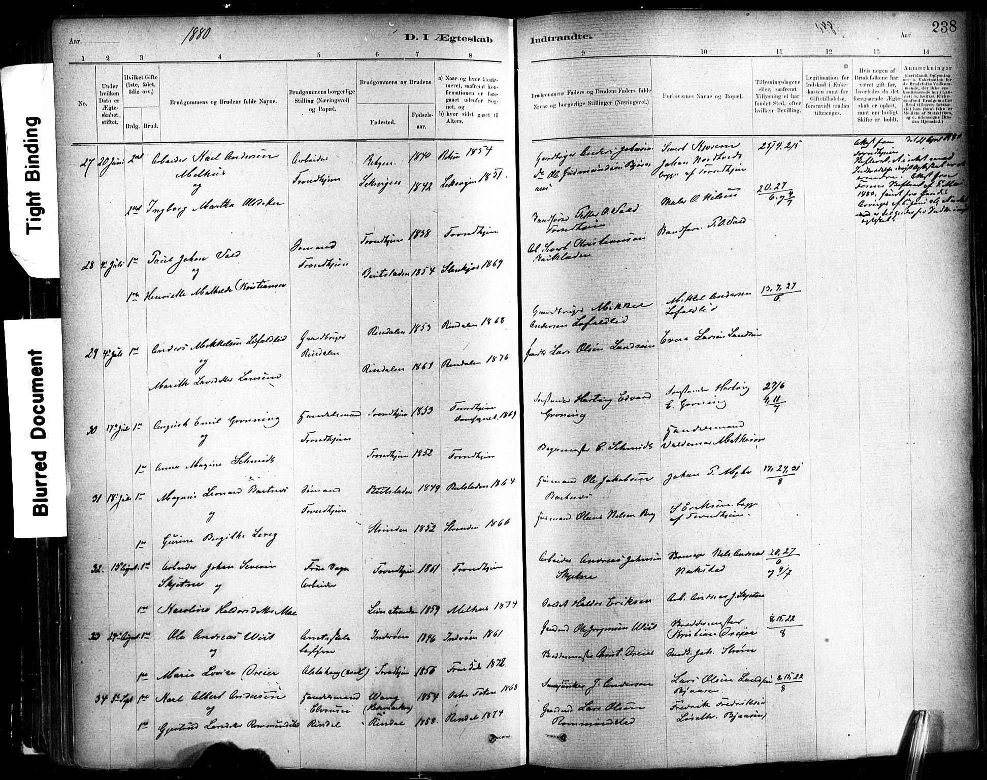 Ministerialprotokoller, klokkerbøker og fødselsregistre - Sør-Trøndelag, AV/SAT-A-1456/602/L0119: Parish register (official) no. 602A17, 1880-1901, p. 238