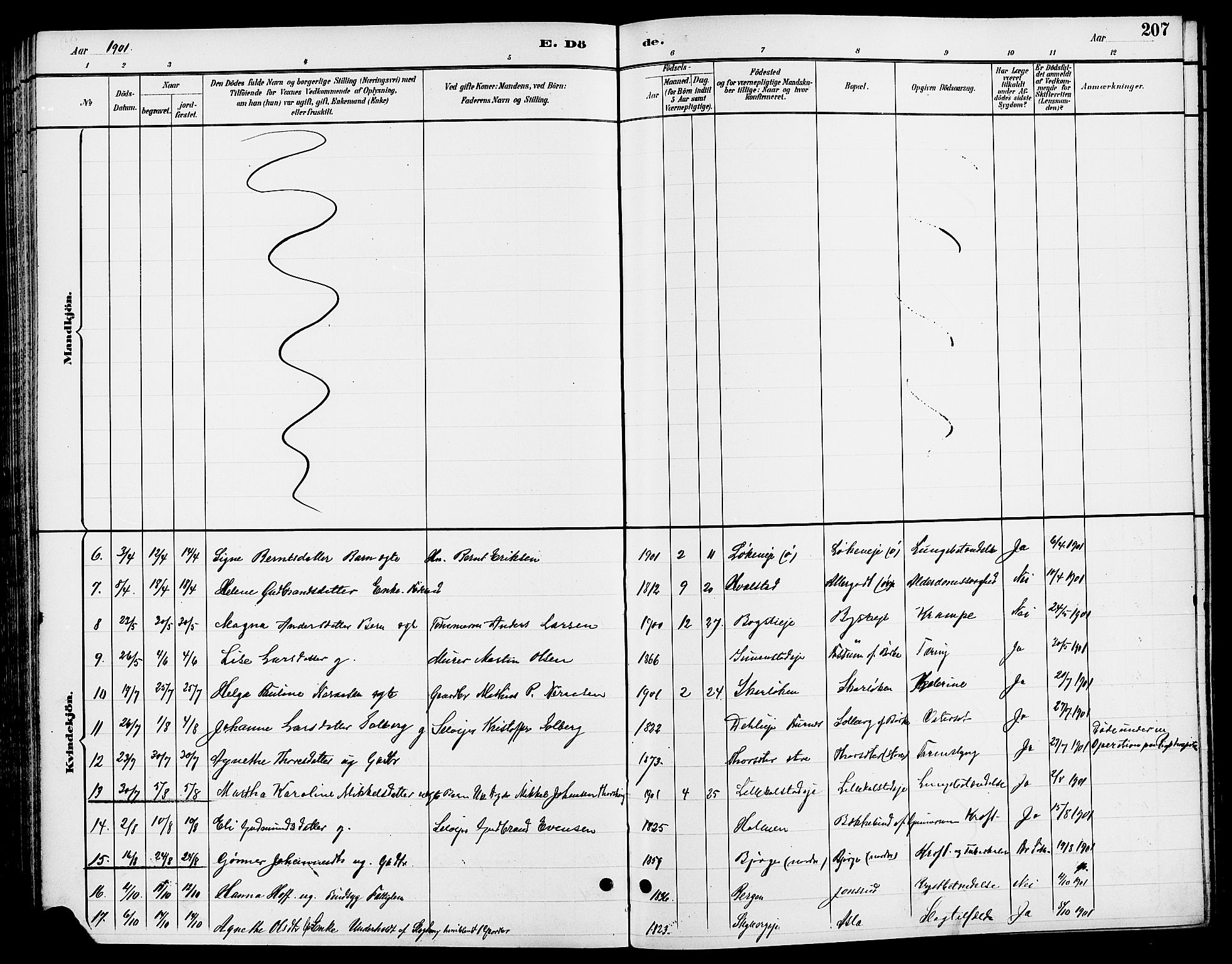 Ringsaker prestekontor, AV/SAH-PREST-014/L/La/L0014: Parish register (copy) no. 14, 1891-1904, p. 207