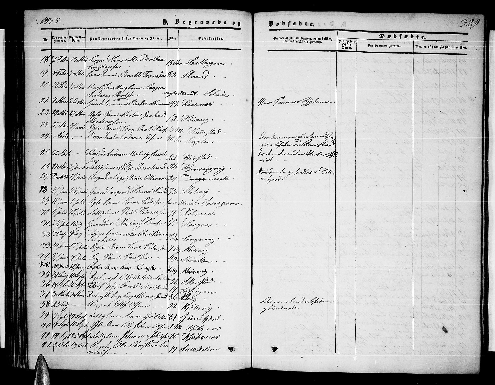 Ministerialprotokoller, klokkerbøker og fødselsregistre - Nordland, AV/SAT-A-1459/872/L1046: Parish register (copy) no. 872C02, 1852-1879, p. 329