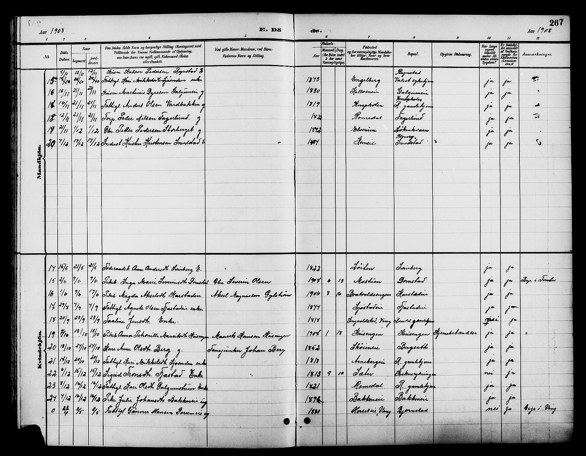 Romedal prestekontor, AV/SAH-PREST-004/L/L0012: Parish register (copy) no. 12, 1896-1914, p. 267