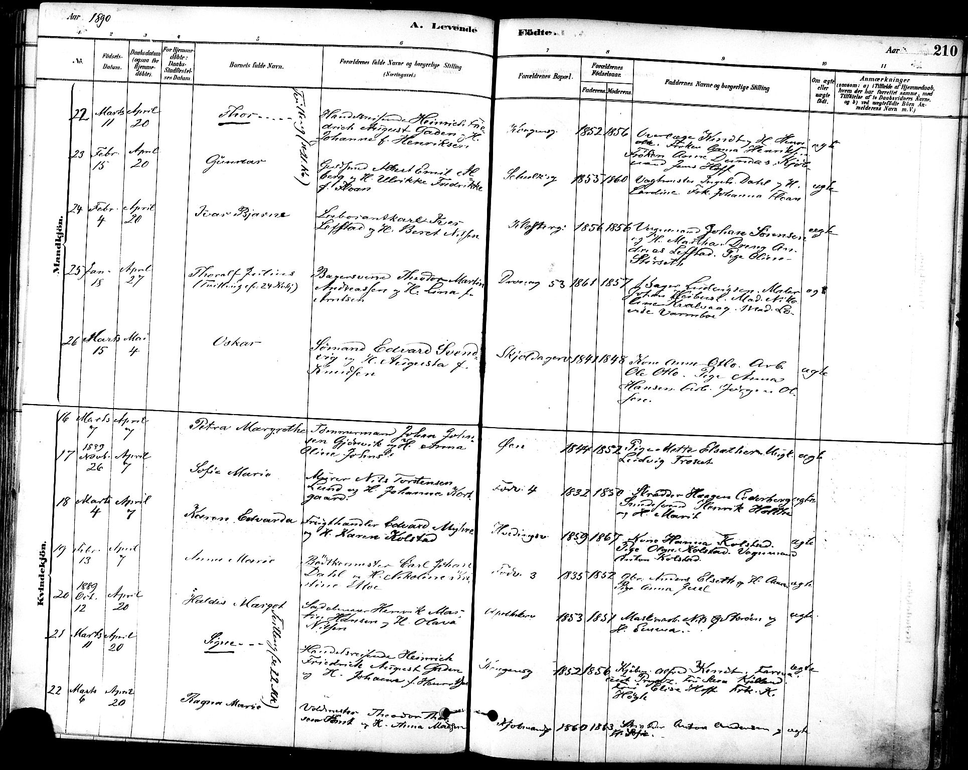 Ministerialprotokoller, klokkerbøker og fødselsregistre - Sør-Trøndelag, AV/SAT-A-1456/601/L0057: Parish register (official) no. 601A25, 1877-1891, p. 210