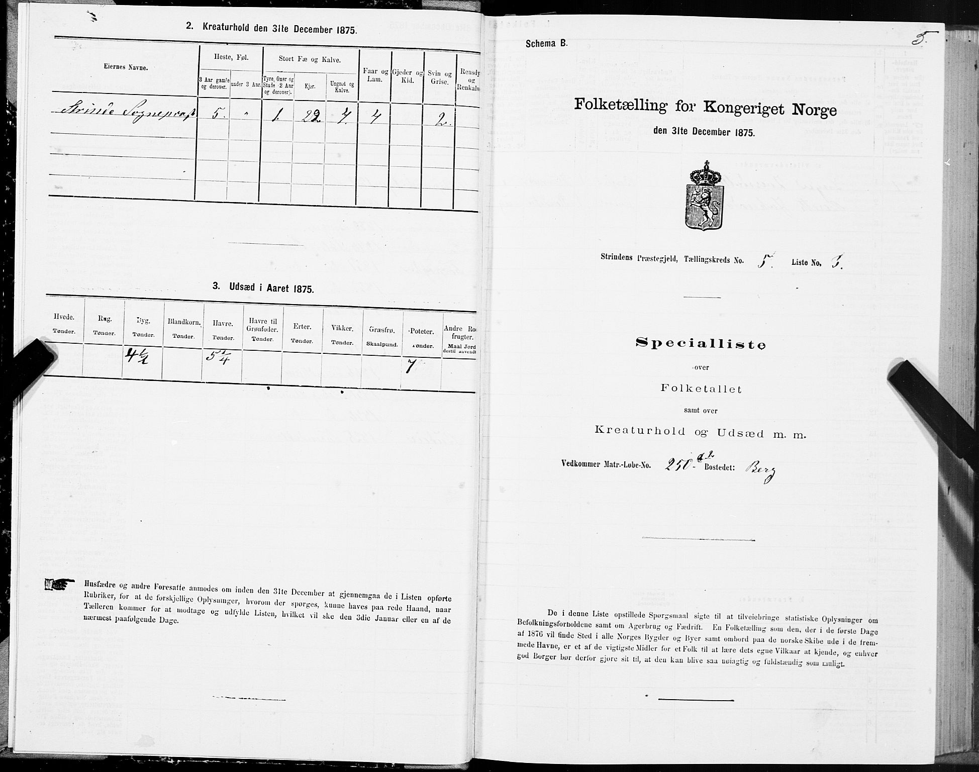 SAT, 1875 census for 1660P Strinda, 1875, p. 3005