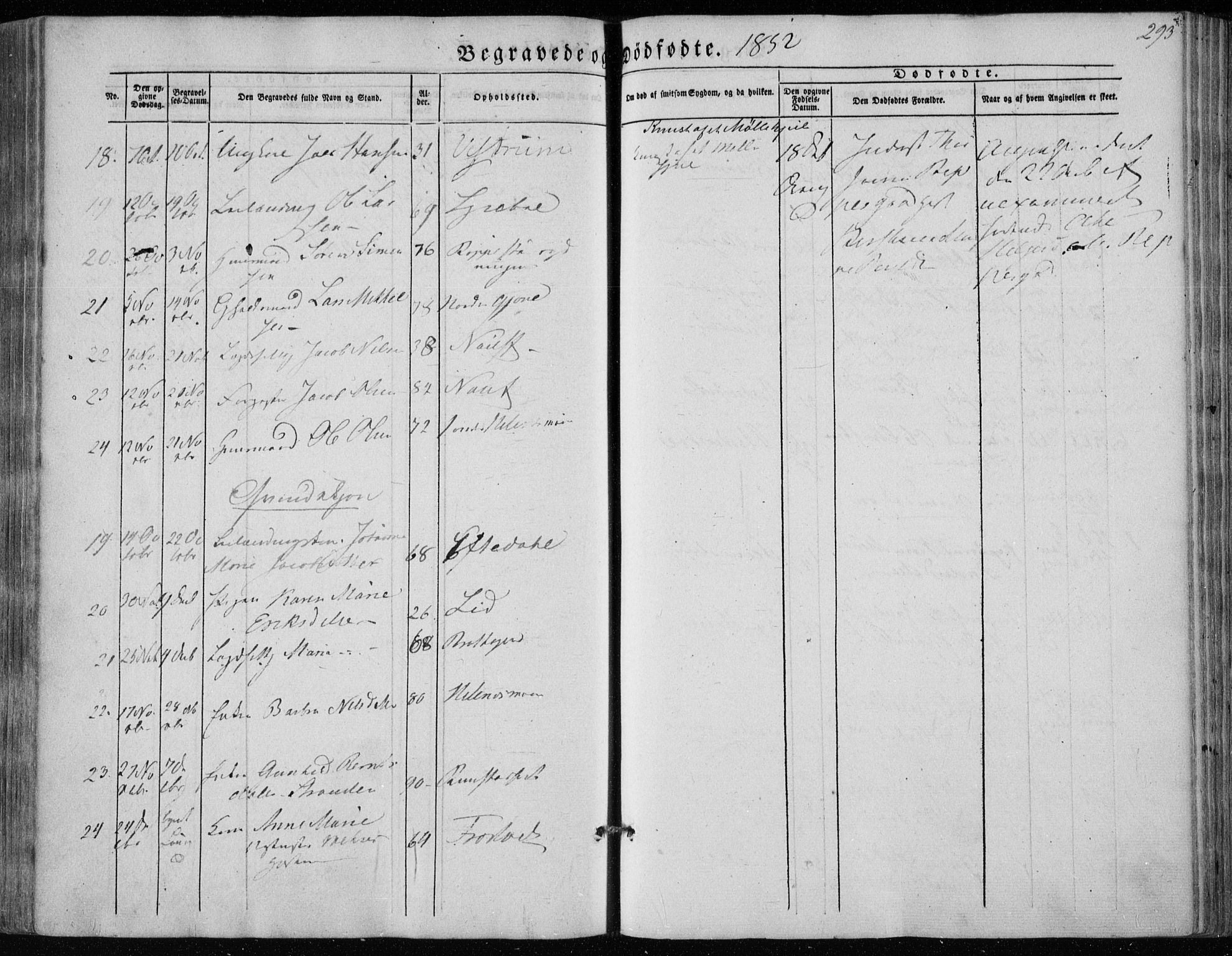 Hedrum kirkebøker, AV/SAKO-A-344/F/Fa/L0006: Parish register (official) no. I 6, 1849-1857, p. 293