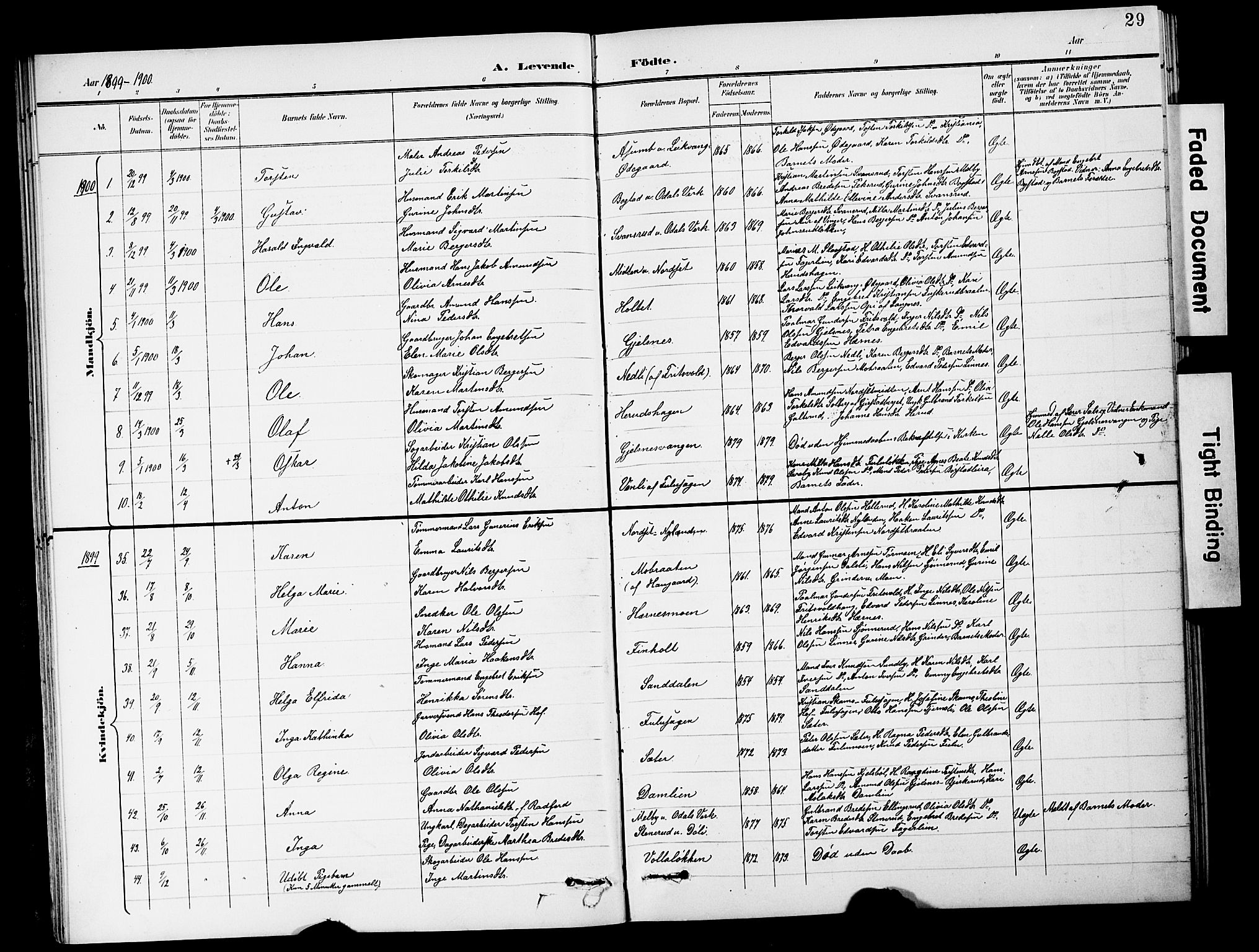 Sør-Odal prestekontor, SAH/PREST-030/H/Ha/Hab/L0001: Parish register (copy) no. 1, 1895-1902, p. 29