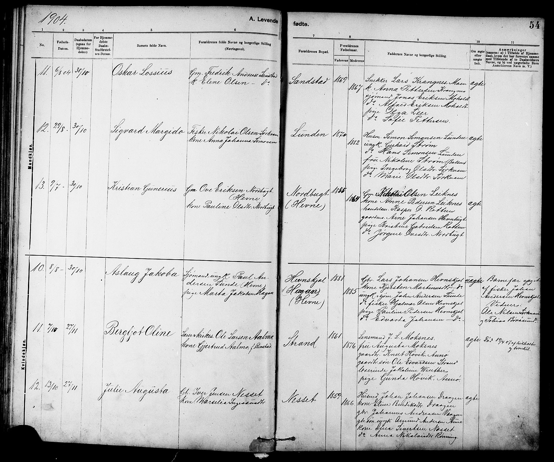 Ministerialprotokoller, klokkerbøker og fødselsregistre - Sør-Trøndelag, SAT/A-1456/639/L0573: Parish register (copy) no. 639C01, 1890-1905, p. 54