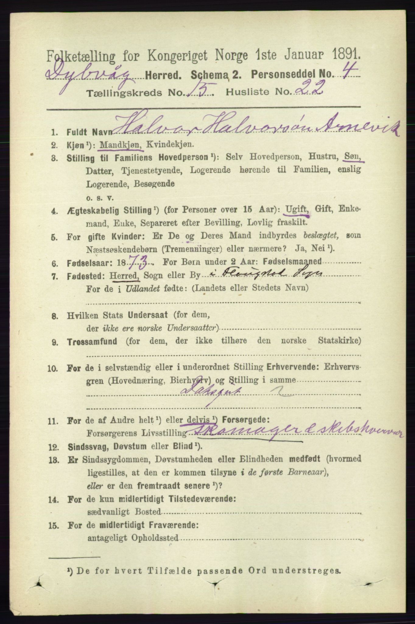 RA, 1891 census for 0915 Dypvåg, 1891, p. 6228