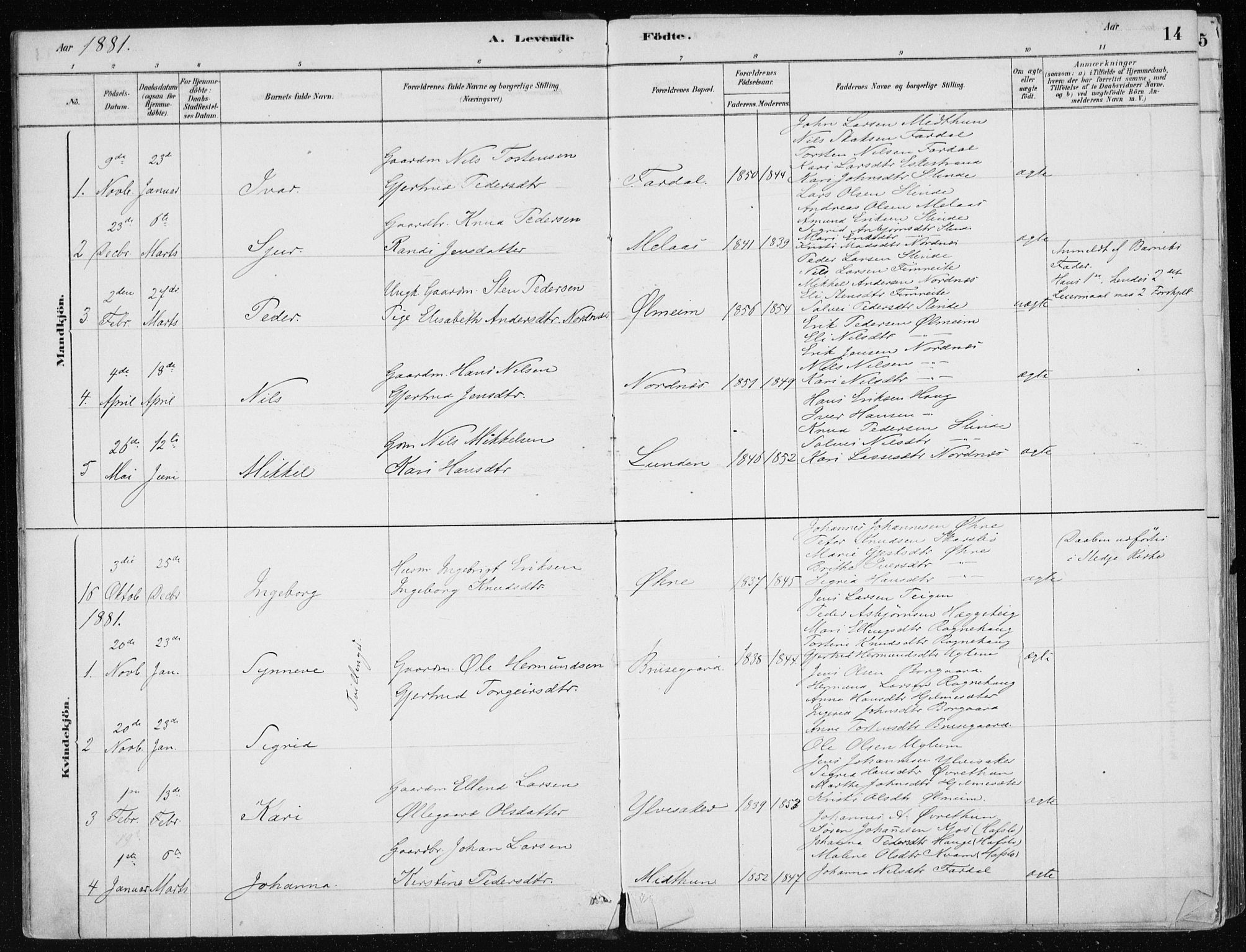 Sogndal sokneprestembete, SAB/A-81301/H/Haa/Haac/L0001: Parish register (official) no. C 1, 1878-1907, p. 14