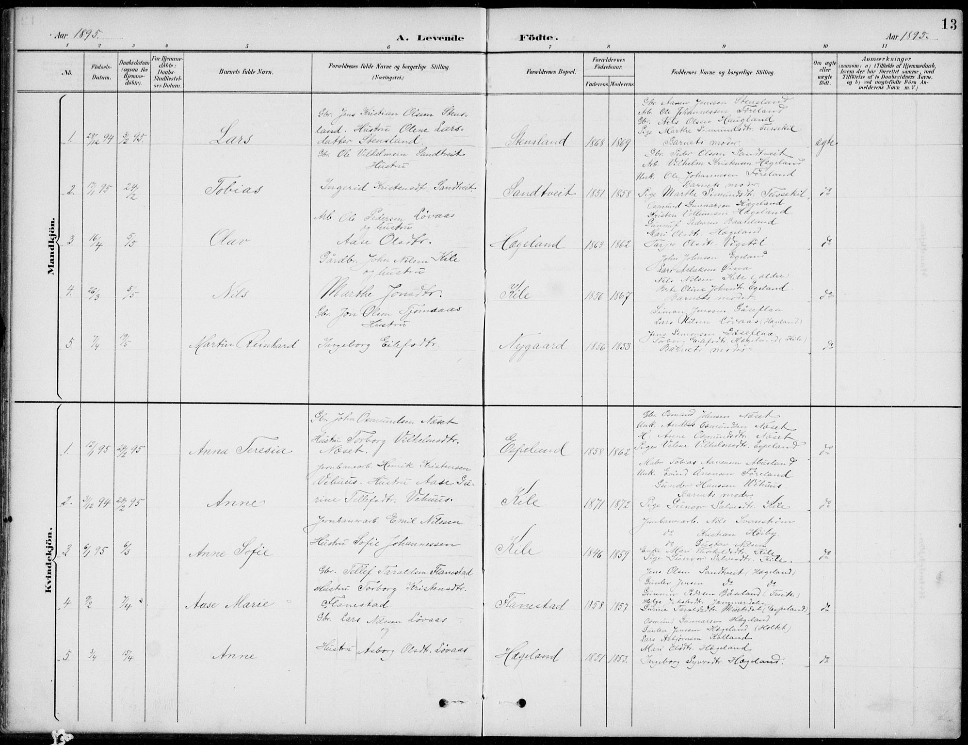 Vennesla sokneprestkontor, AV/SAK-1111-0045/Fb/Fba/L0003: Parish register (copy) no. B 3, 1890-1919, p. 13