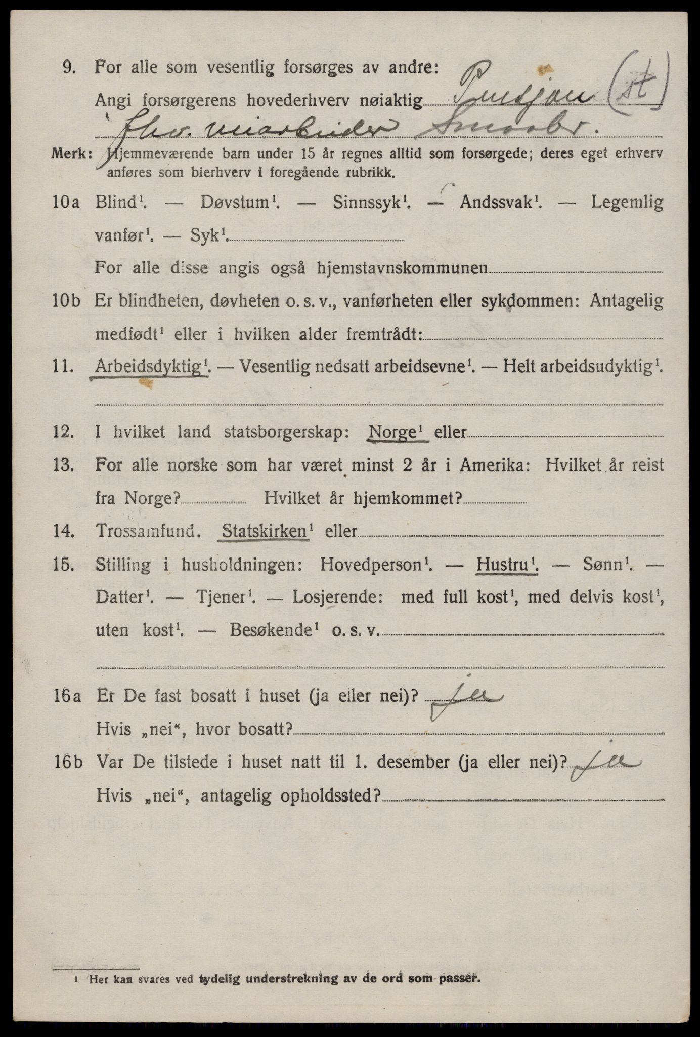 SAKO, 1920 census for Vinje, 1920, p. 1038