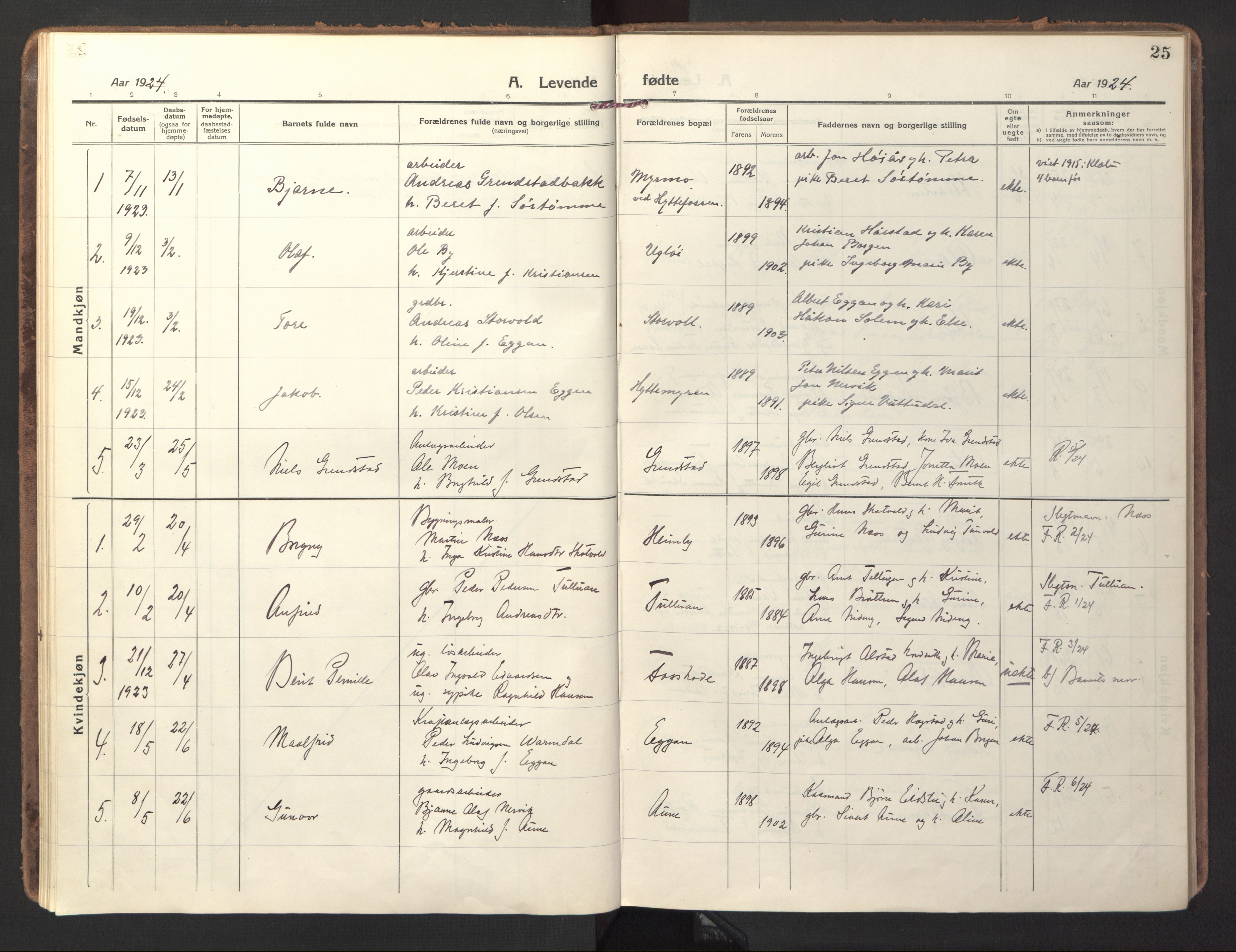 Ministerialprotokoller, klokkerbøker og fødselsregistre - Sør-Trøndelag, SAT/A-1456/618/L0449: Parish register (official) no. 618A12, 1917-1924, p. 25