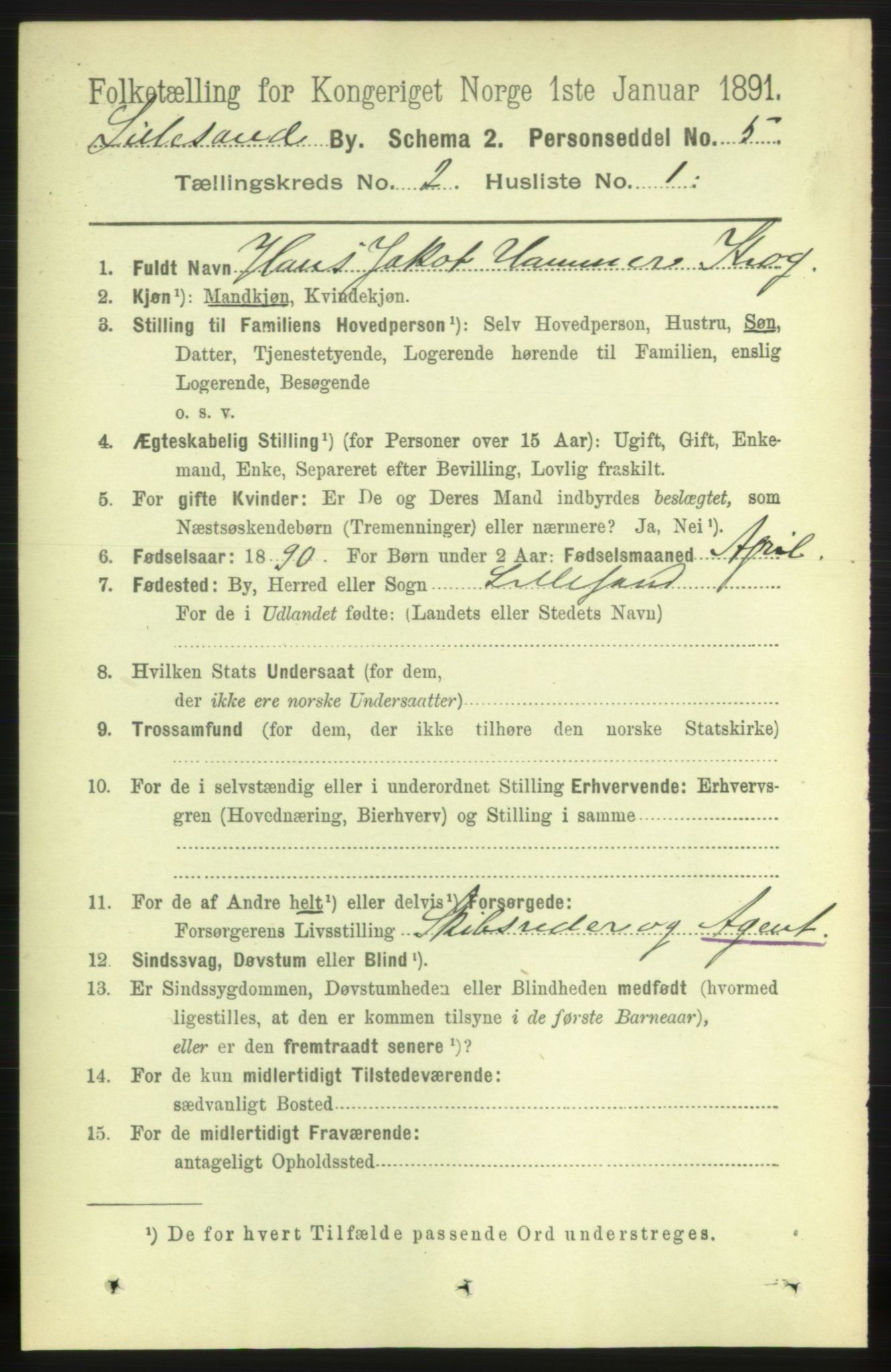 RA, 1891 census for 0905 Lillesand, 1891, p. 273