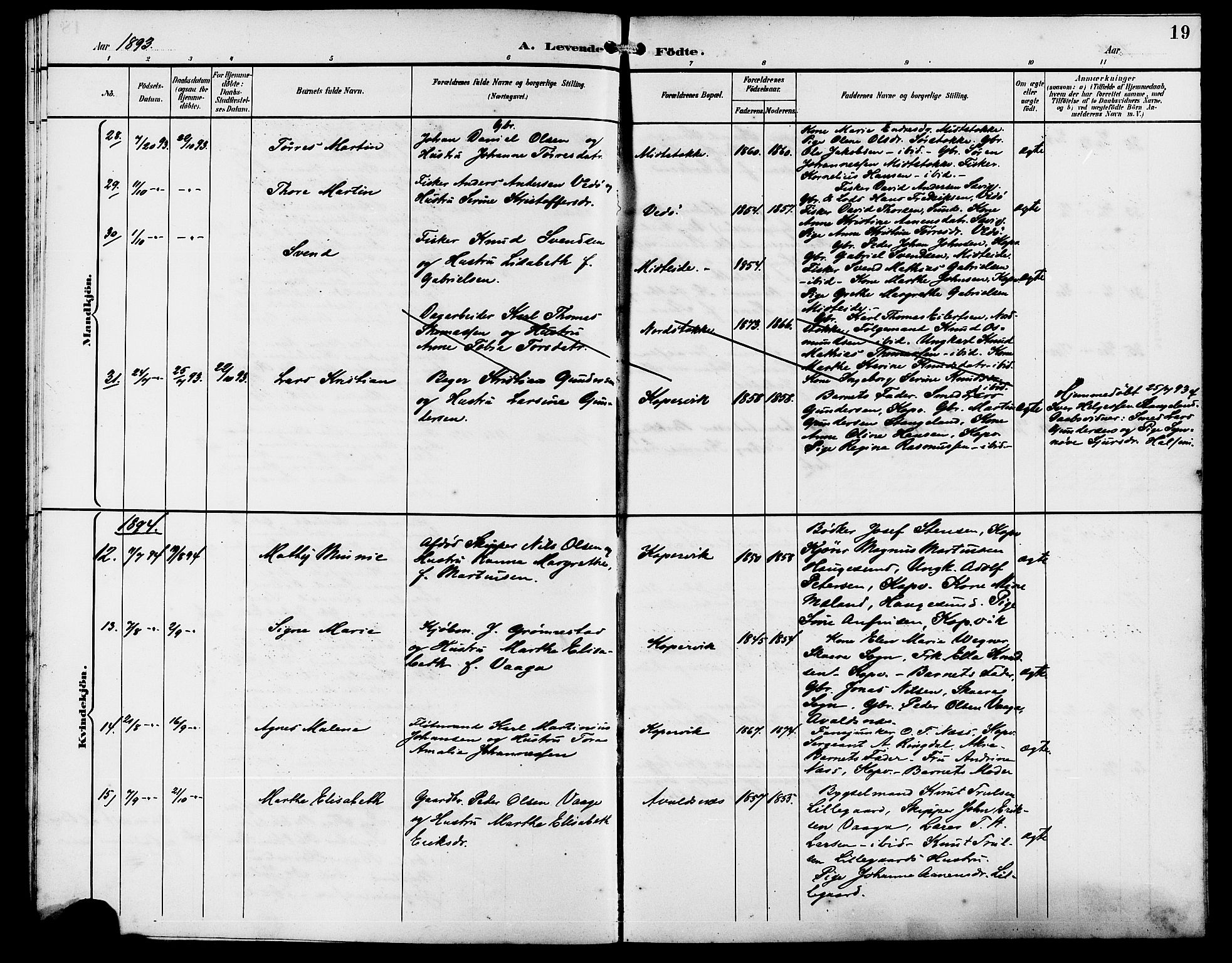 Kopervik sokneprestkontor, AV/SAST-A-101850/H/Ha/Hab/L0003: Parish register (copy) no. B 3, 1891-1909, p. 19