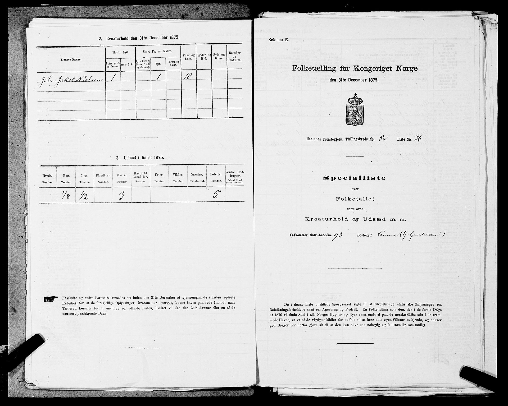 SAST, 1875 census for 1124P Håland, 1875, p. 714