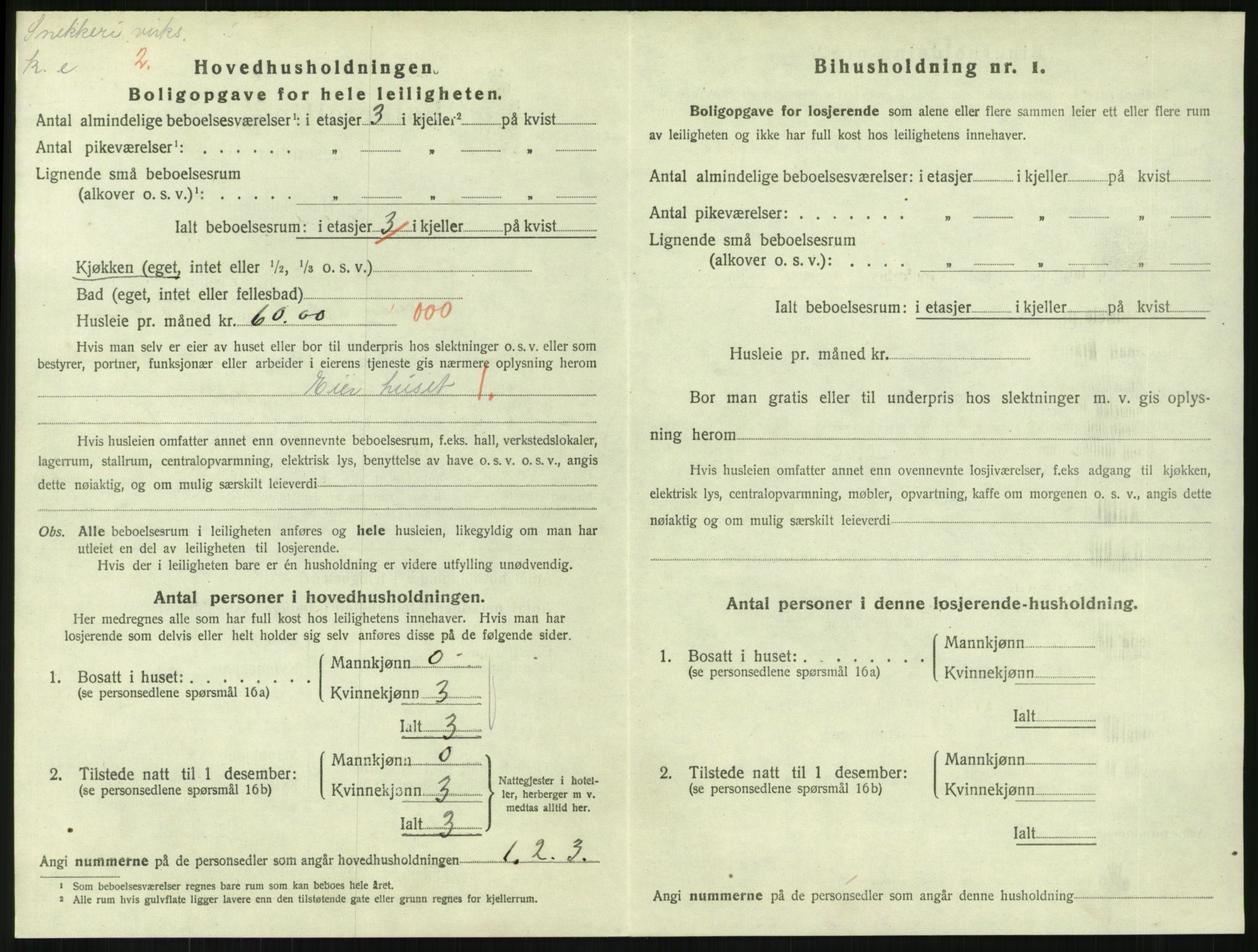 SAKO, 1920 census for Horten, 1920, p. 3784