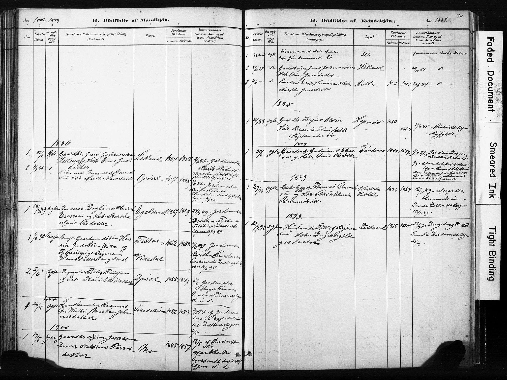 Vikedal sokneprestkontor, AV/SAST-A-101840/01/IV: Parish register (official) no. A 10, 1884-1907, p. 74