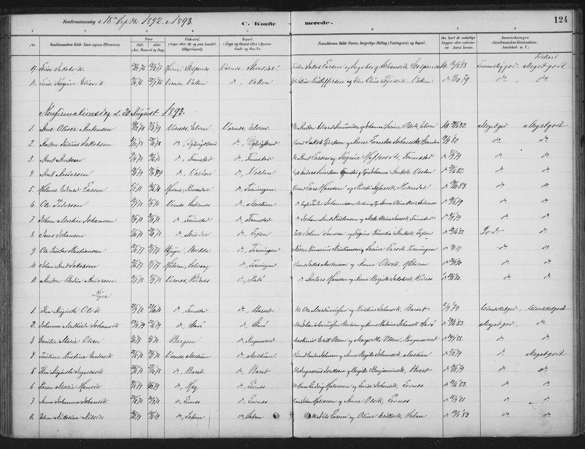 Ministerialprotokoller, klokkerbøker og fødselsregistre - Sør-Trøndelag, SAT/A-1456/662/L0755: Parish register (official) no. 662A01, 1879-1905, p. 124