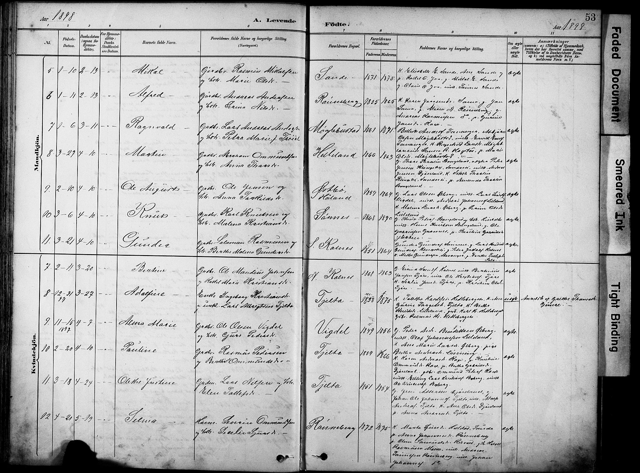 Håland sokneprestkontor, AV/SAST-A-101802/001/30BA/L0012: Parish register (official) no. A 11, 1889-1900, p. 53