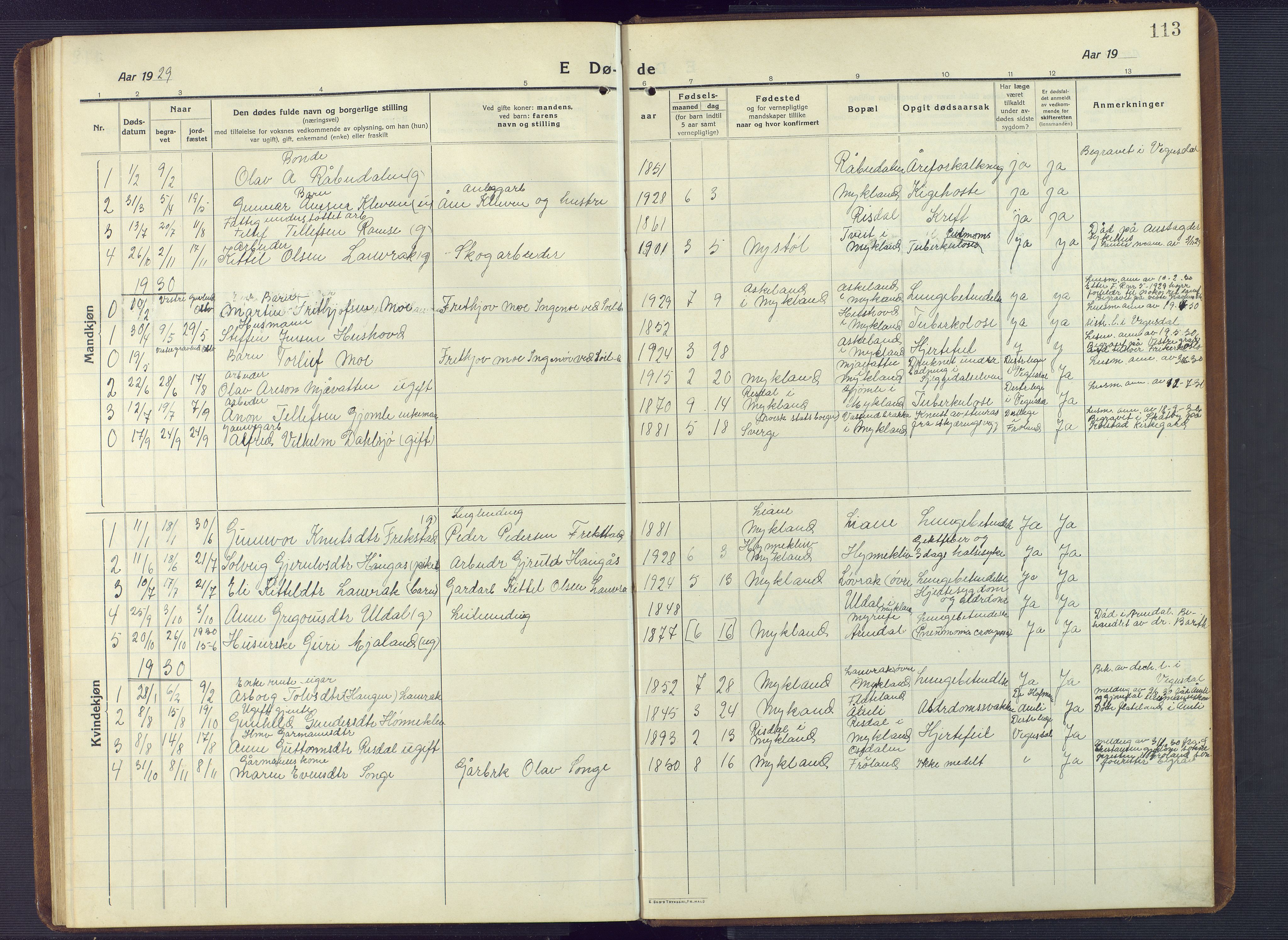 Herefoss sokneprestkontor, SAK/1111-0019/F/Fb/Fbc/L0004: Parish register (copy) no. B 4, 1914-1946, p. 113