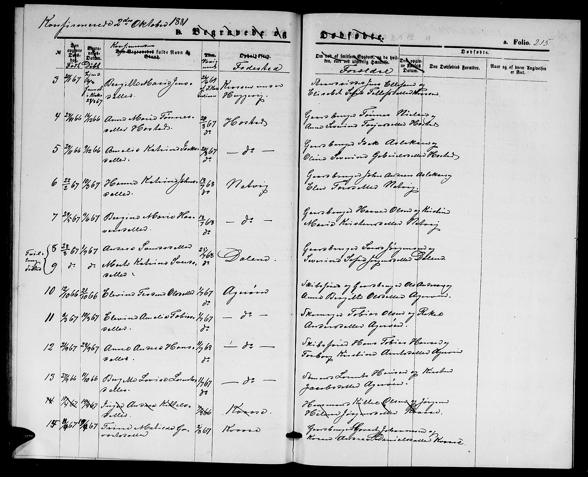 Høvåg sokneprestkontor, SAK/1111-0025/F/Fb/L0003: Parish register (copy) no. B 3, 1870-1882, p. 215