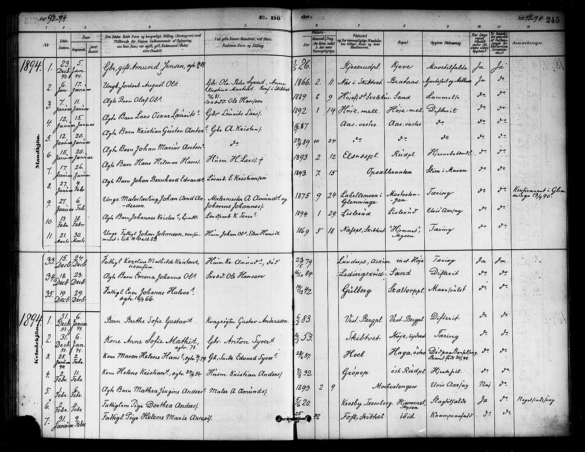 Eidsberg prestekontor Kirkebøker, SAO/A-10905/F/Fa/L0012: Parish register (official) no. I 12, 1879-1901, p. 245