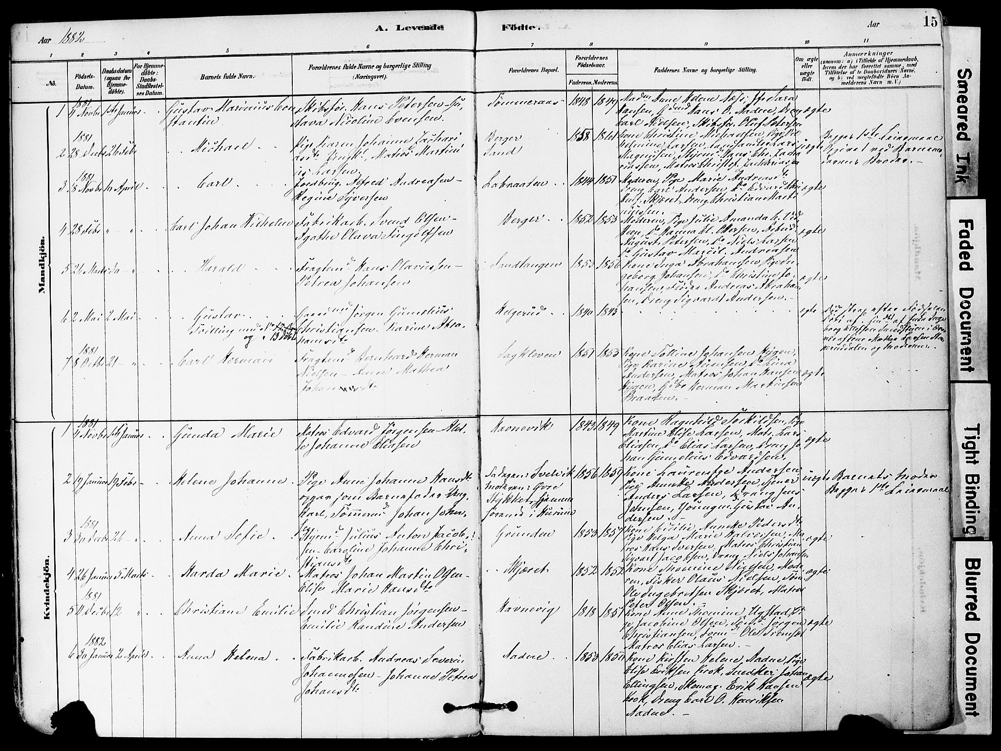 Strømm kirkebøker, SAKO/A-322/F/Fa/L0004: Parish register (official) no. I 4, 1878-1899, p. 15