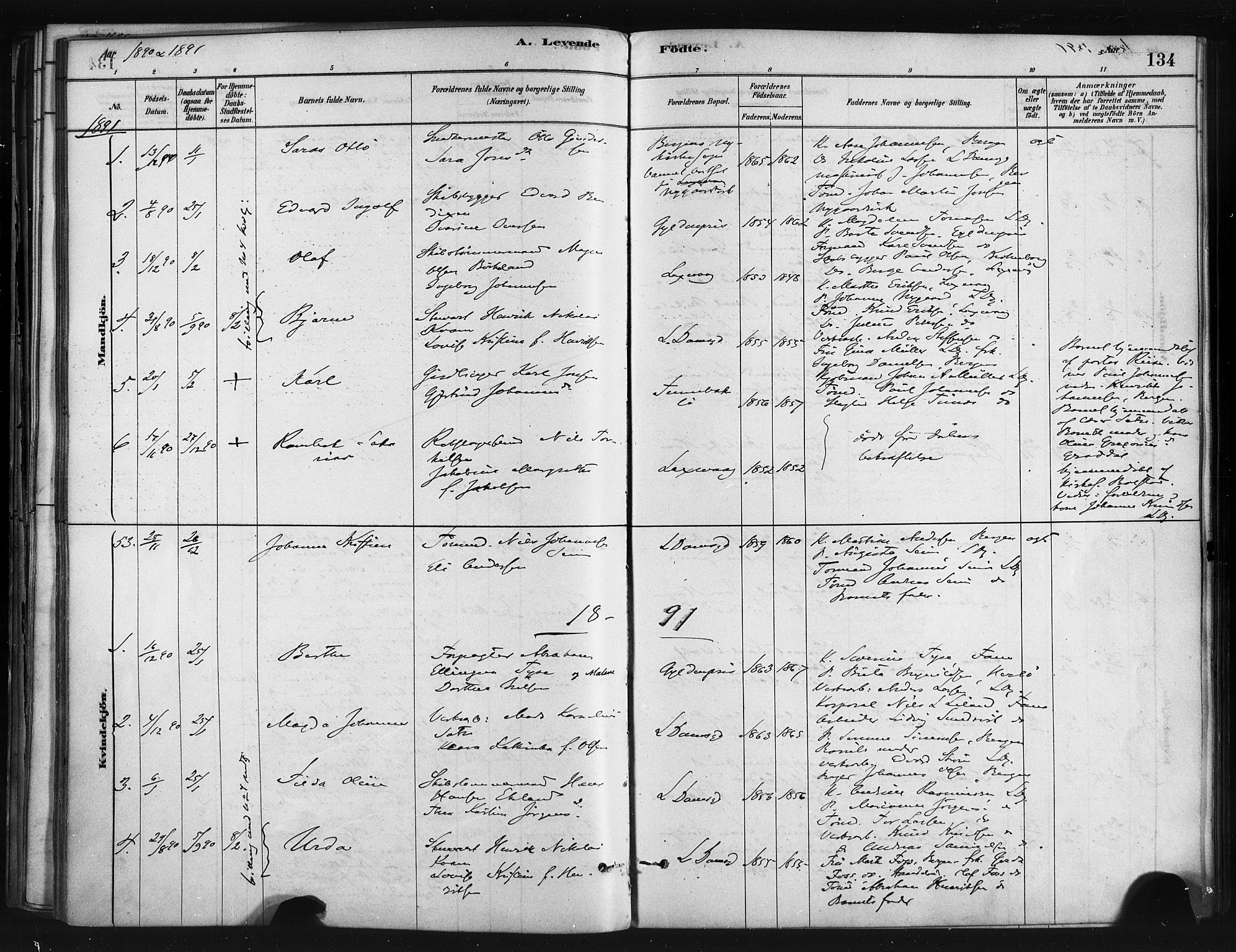 Askøy Sokneprestembete, SAB/A-74101/H/Ha/Haa/Haae/L0002: Parish register (official) no. E 2, 1878-1891, p. 134