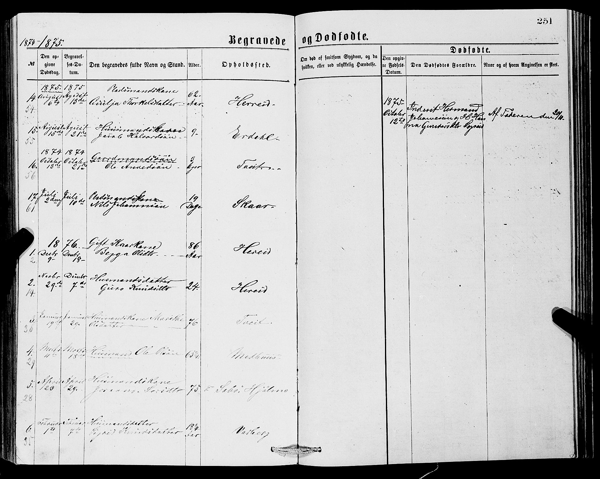 Ullensvang sokneprestembete, SAB/A-78701/H/Hab: Parish register (copy) no. C 2, 1871-1899, p. 251