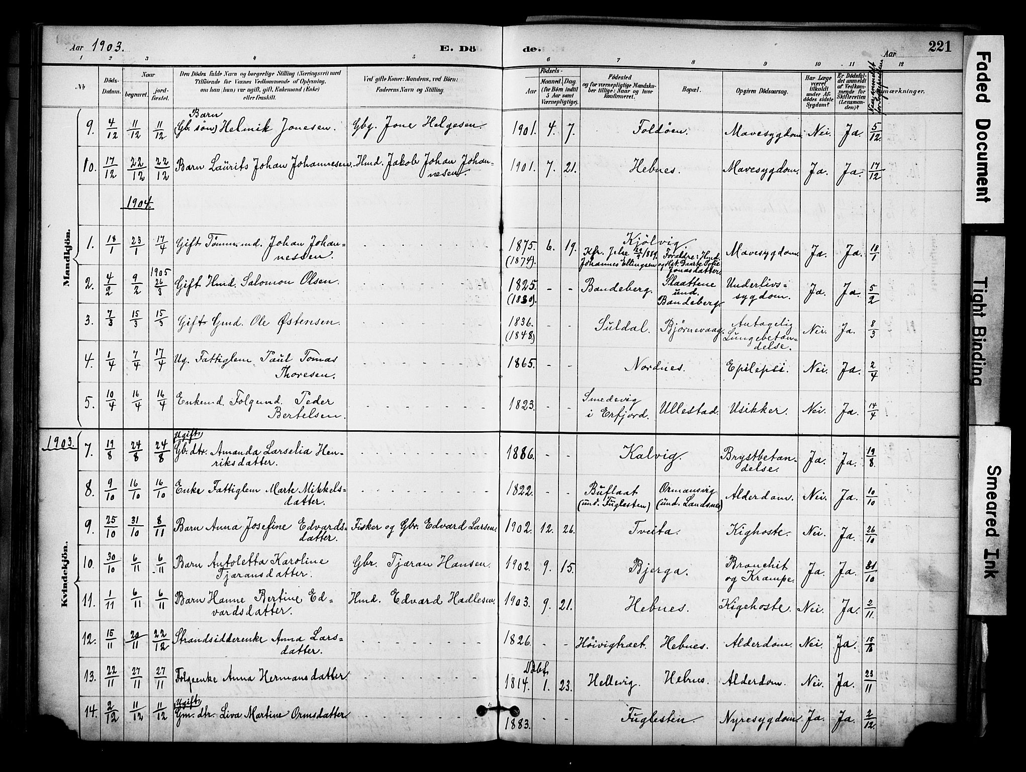 Jelsa sokneprestkontor, AV/SAST-A-101842/01/IV: Parish register (official) no. A 10, 1884-1906, p. 221