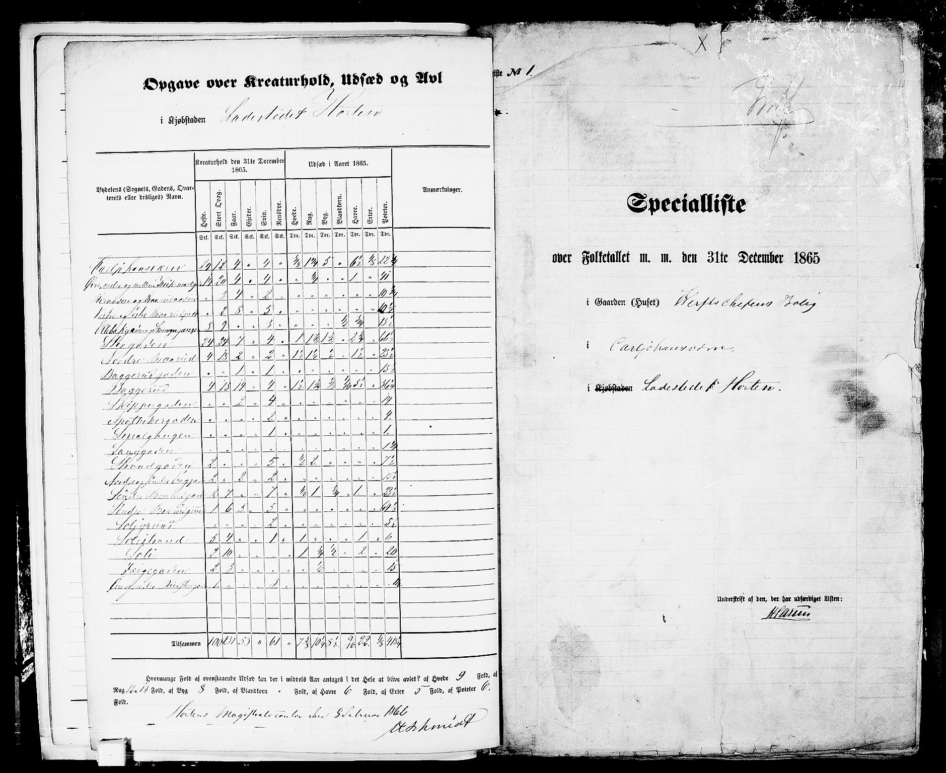 RA, 1865 census for Horten, 1865, p. 11