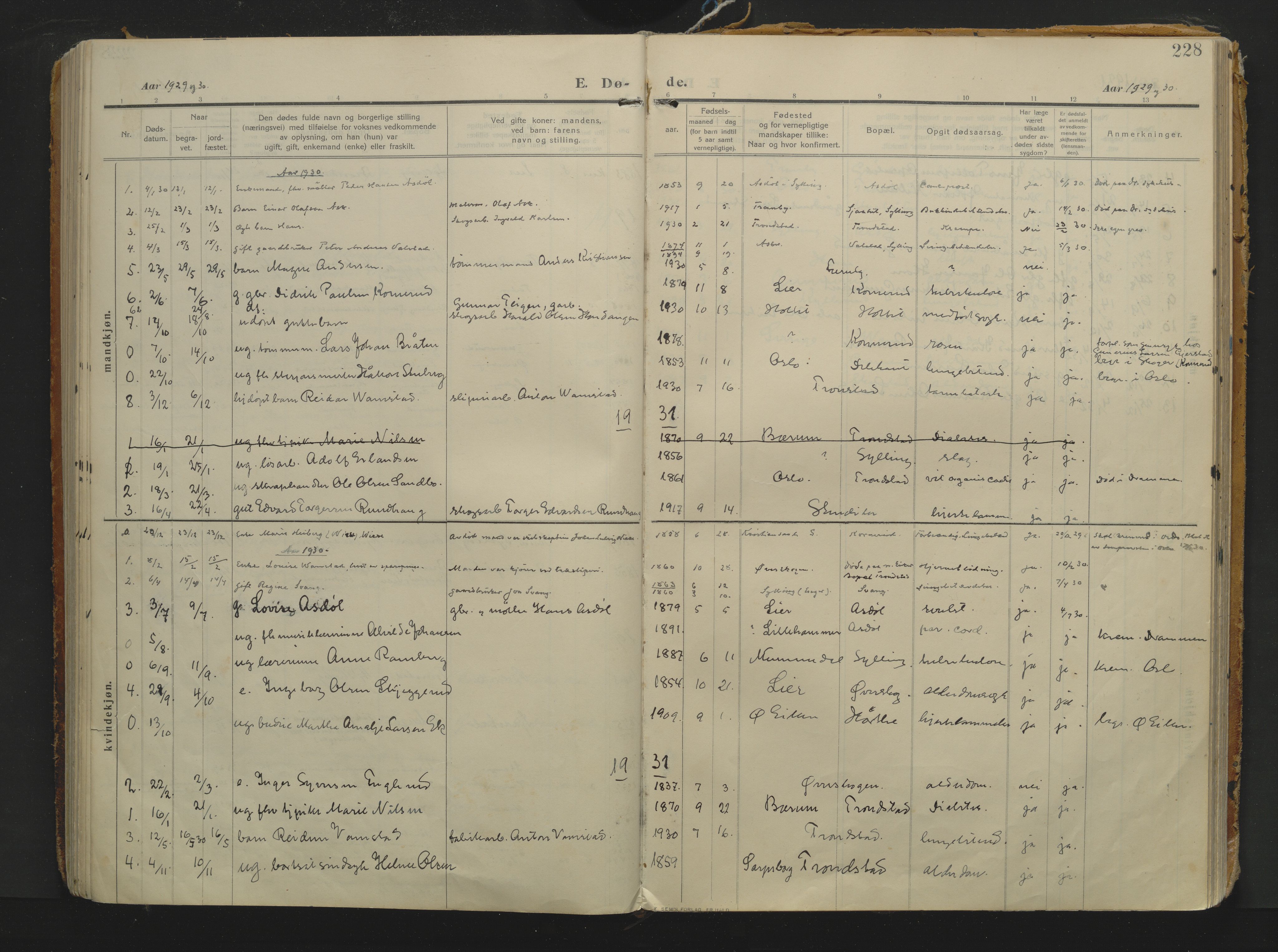 Sylling kirkebøker, AV/SAKO-A-247/F/Fa/L0002: Parish register (official) no. 2, 1906-1936, p. 228