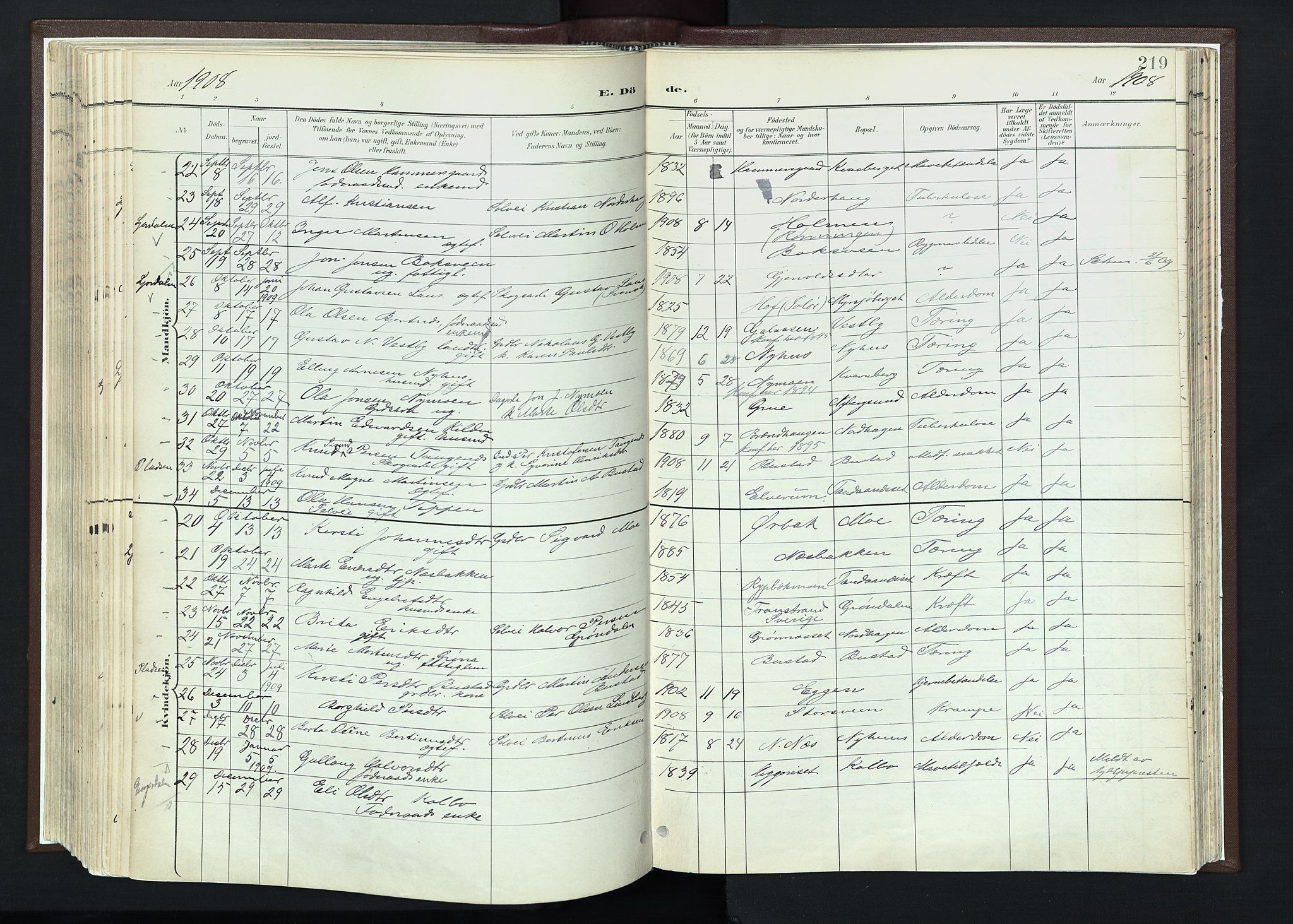 Trysil prestekontor, SAH/PREST-046/H/Ha/Haa/L0013: Parish register (official) no. 13, 1898-1911, p. 219