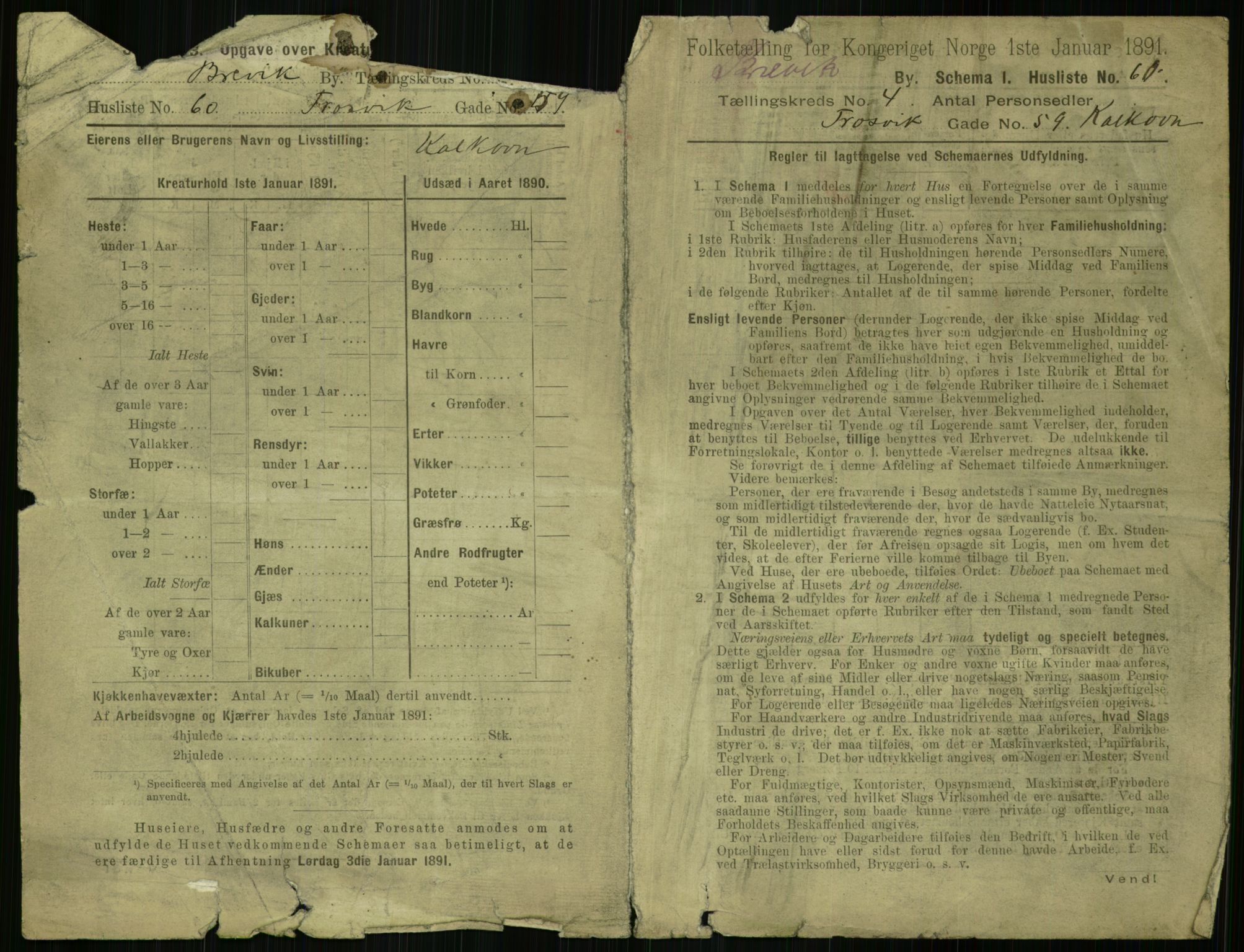 RA, 1891 census for 0804 Brevik, 1891, p. 803