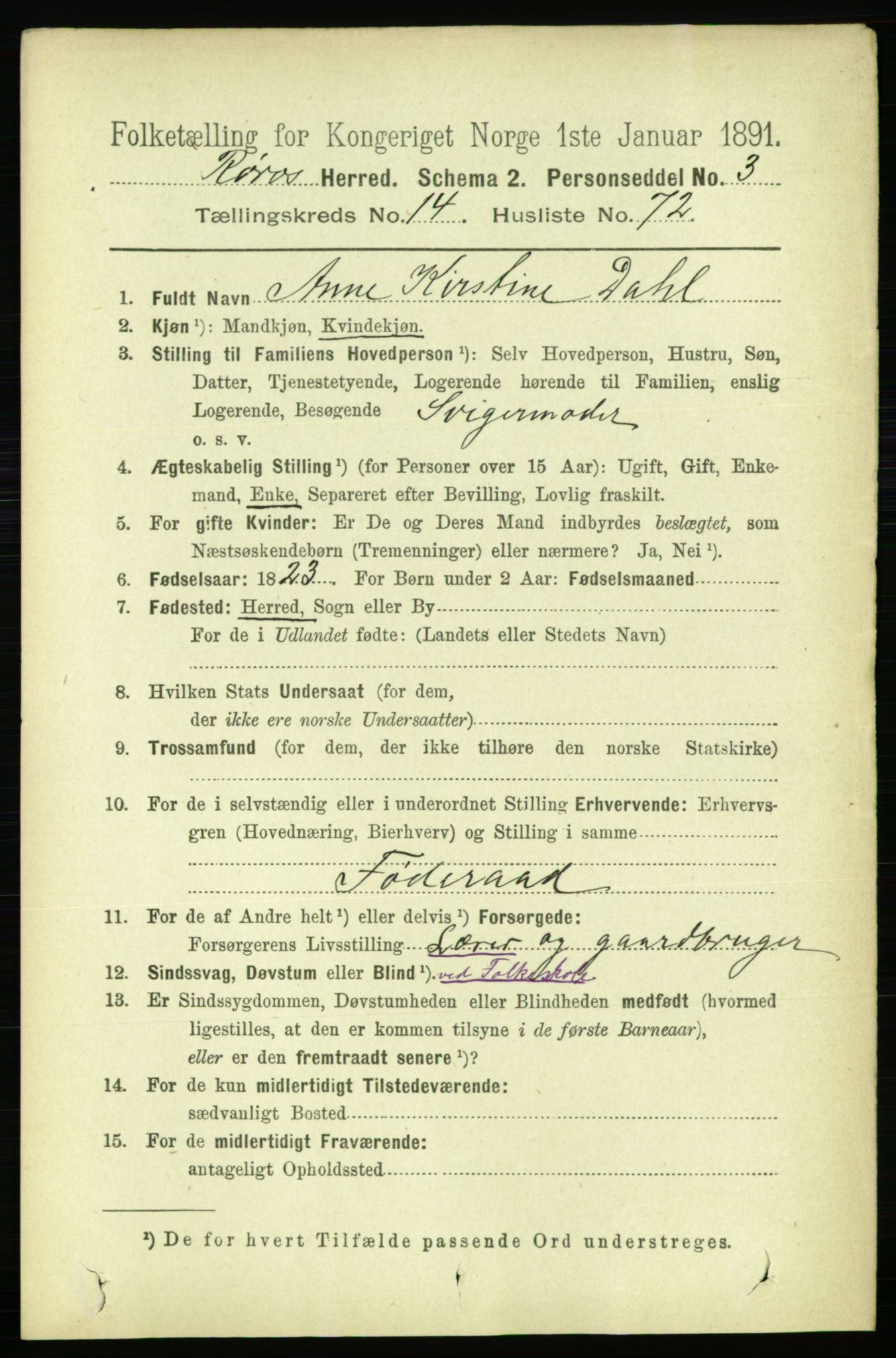 RA, 1891 census for 1640 Røros, 1891, p. 3254