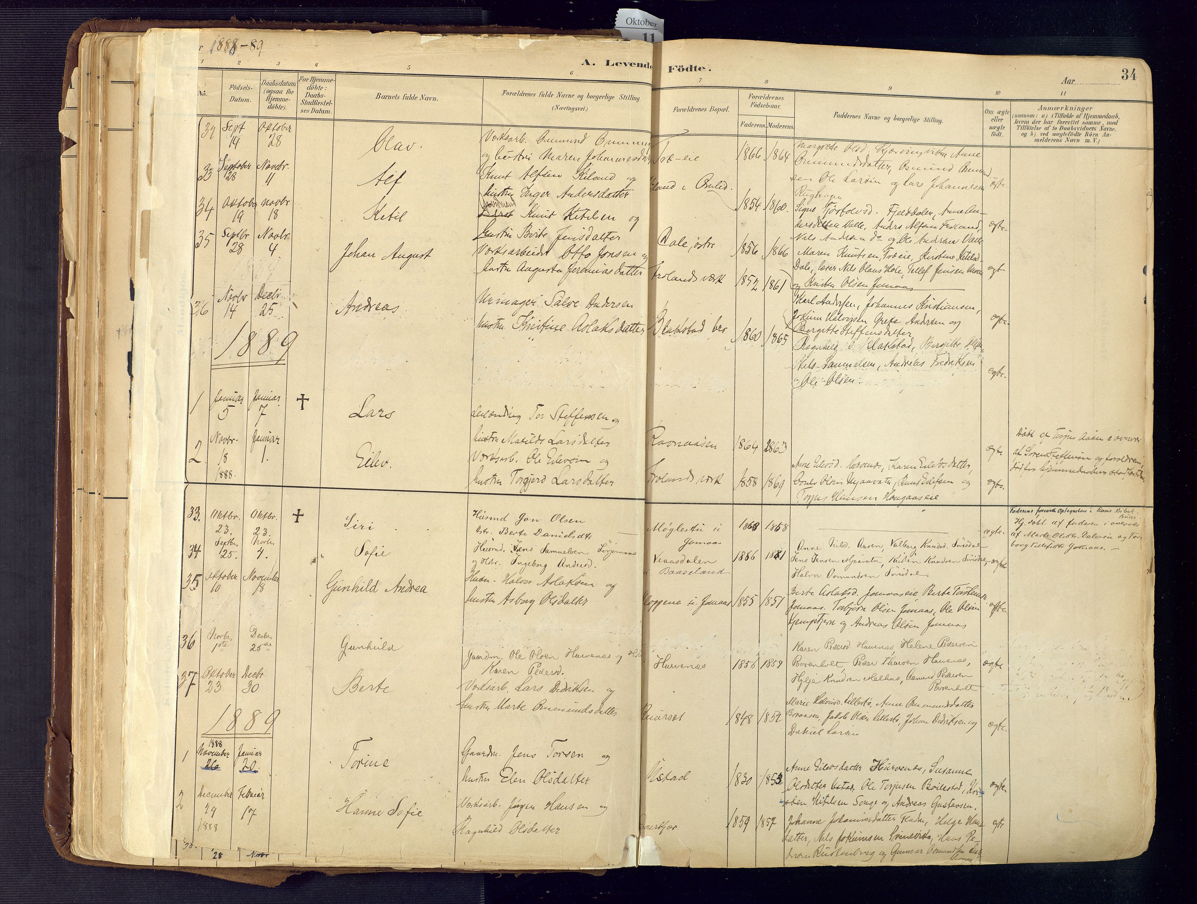 Froland sokneprestkontor, SAK/1111-0013/F/Fa/L0005: Parish register (official) no. A 5, 1882-1921, p. 34