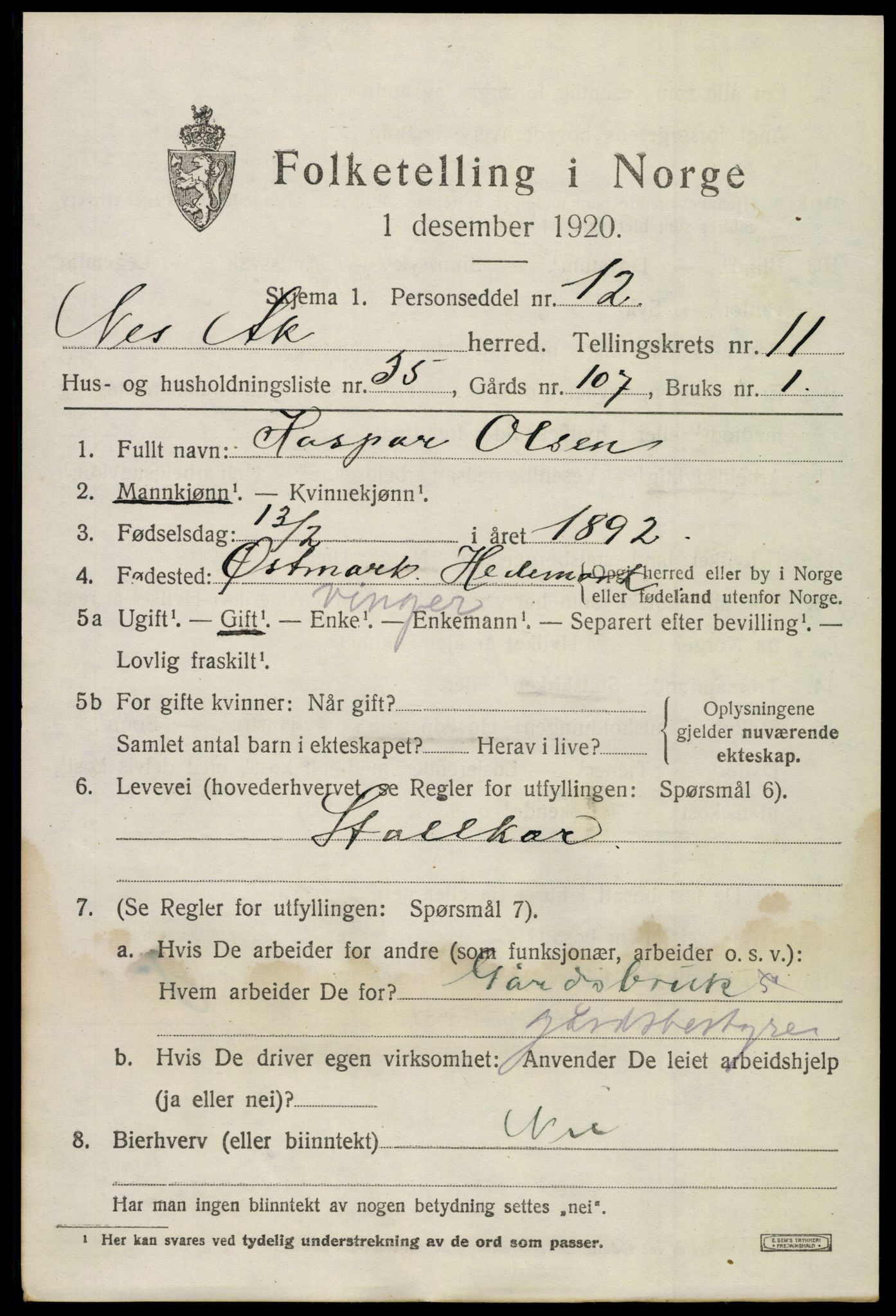 SAO, 1920 census for Nes, 1920, p. 11842