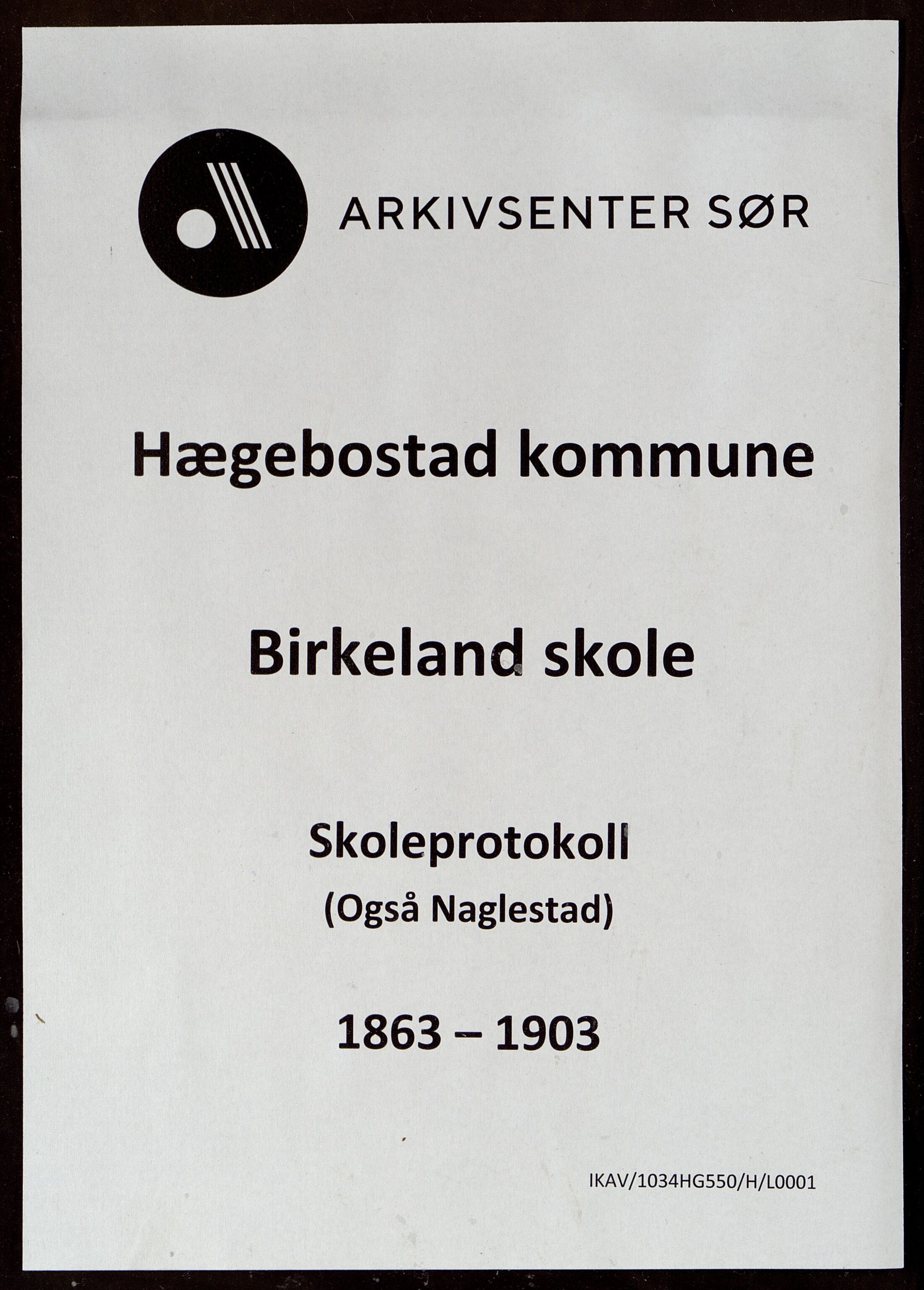 Hægebostad kommune - Birkeland Skole, ARKSOR/1034HG550/H/L0001: Dagbok og karakterprotokoll, 1863-1903