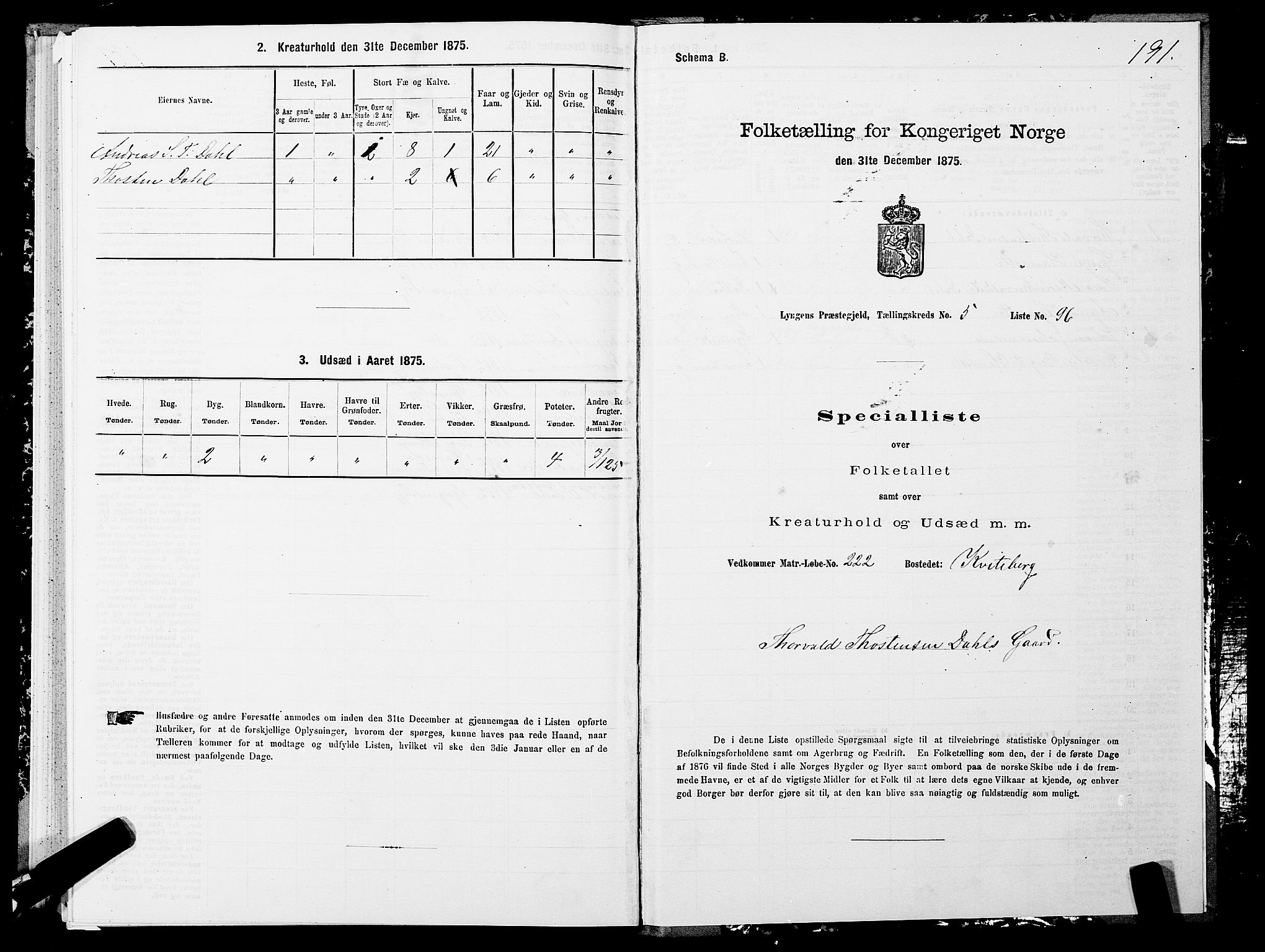 SATØ, 1875 census for 1938P Lyngen, 1875, p. 5191