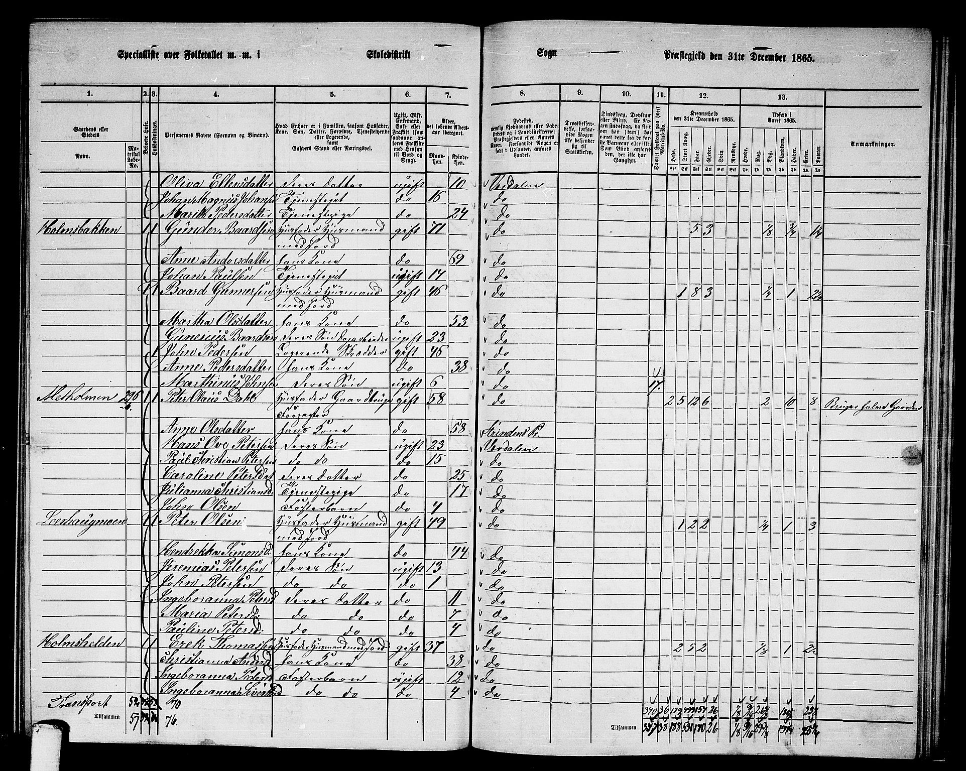 RA, 1865 census for Verdal, 1865, p. 231