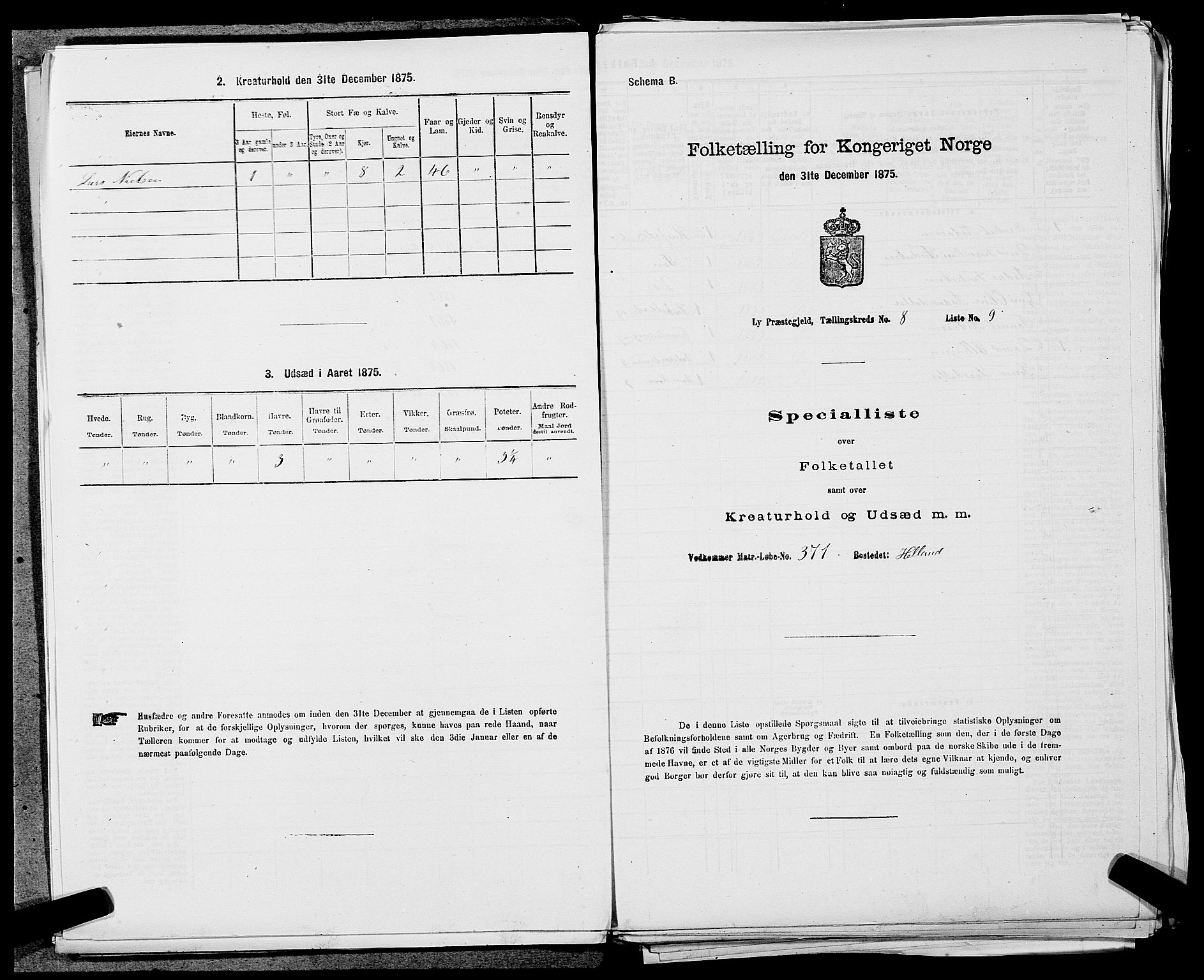 SAST, 1875 census for 1121P Lye, 1875, p. 941