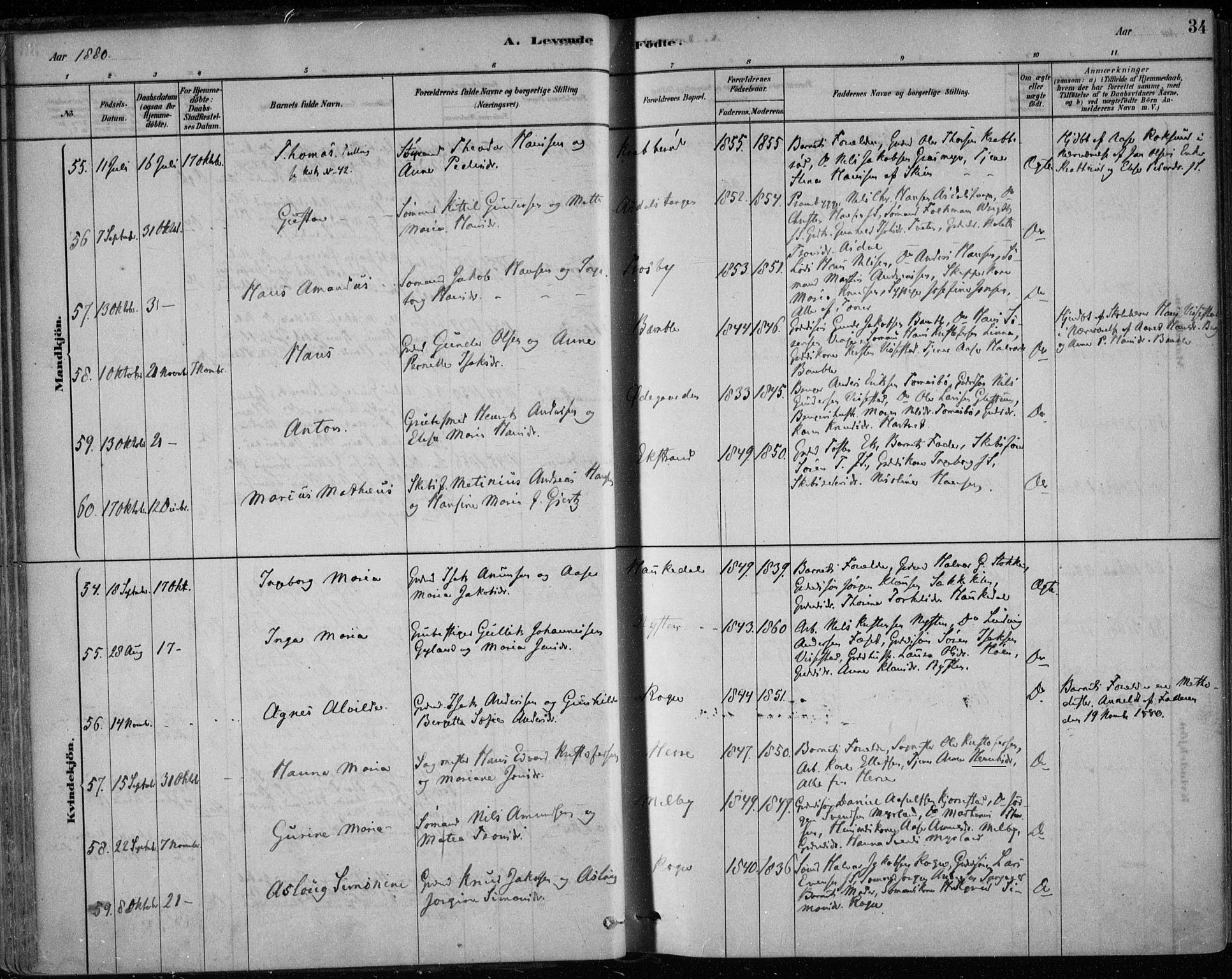 Bamble kirkebøker, AV/SAKO-A-253/F/Fa/L0007: Parish register (official) no. I 7, 1878-1888, p. 34