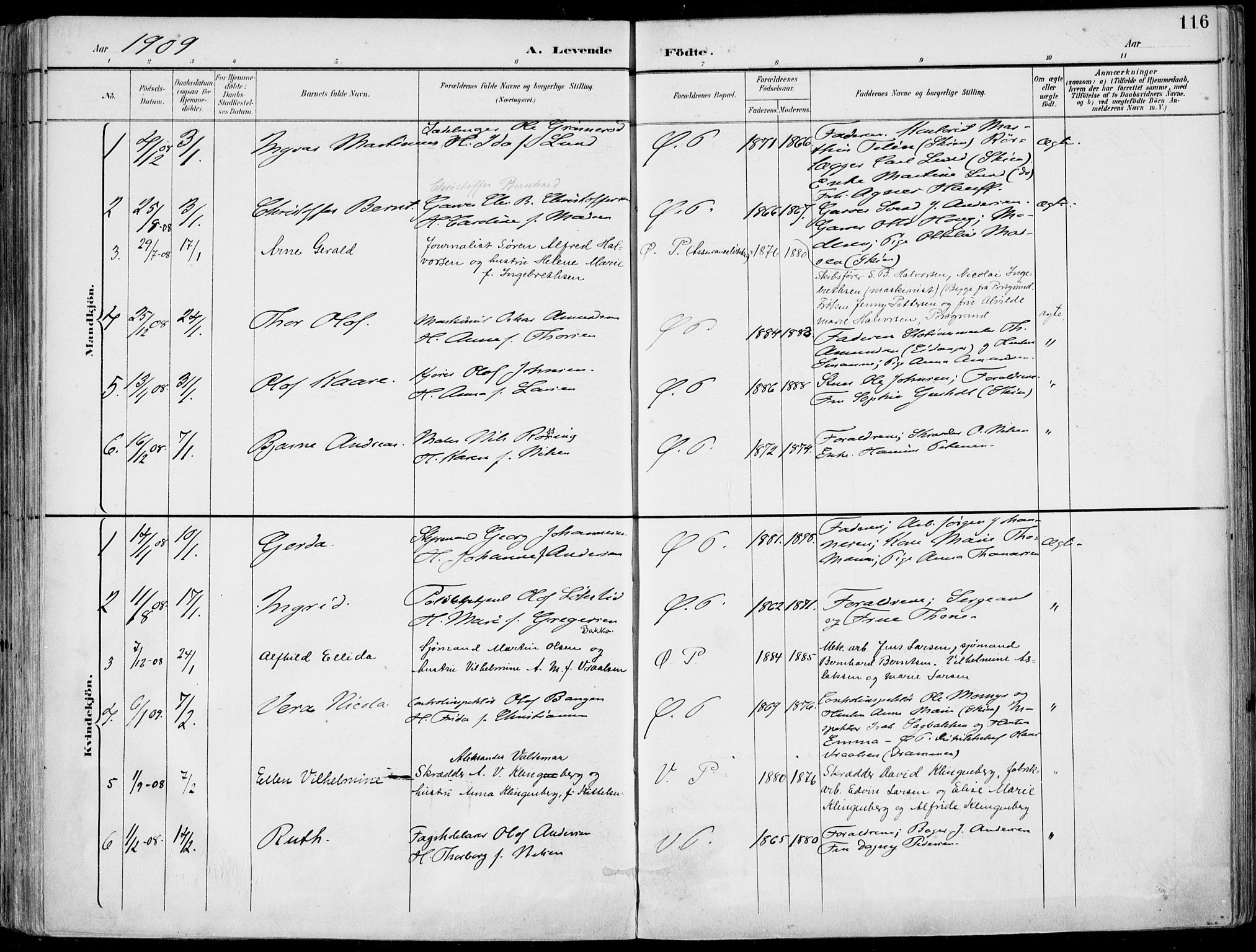 Porsgrunn kirkebøker , SAKO/A-104/F/Fa/L0010: Parish register (official) no. 10, 1895-1919, p. 116