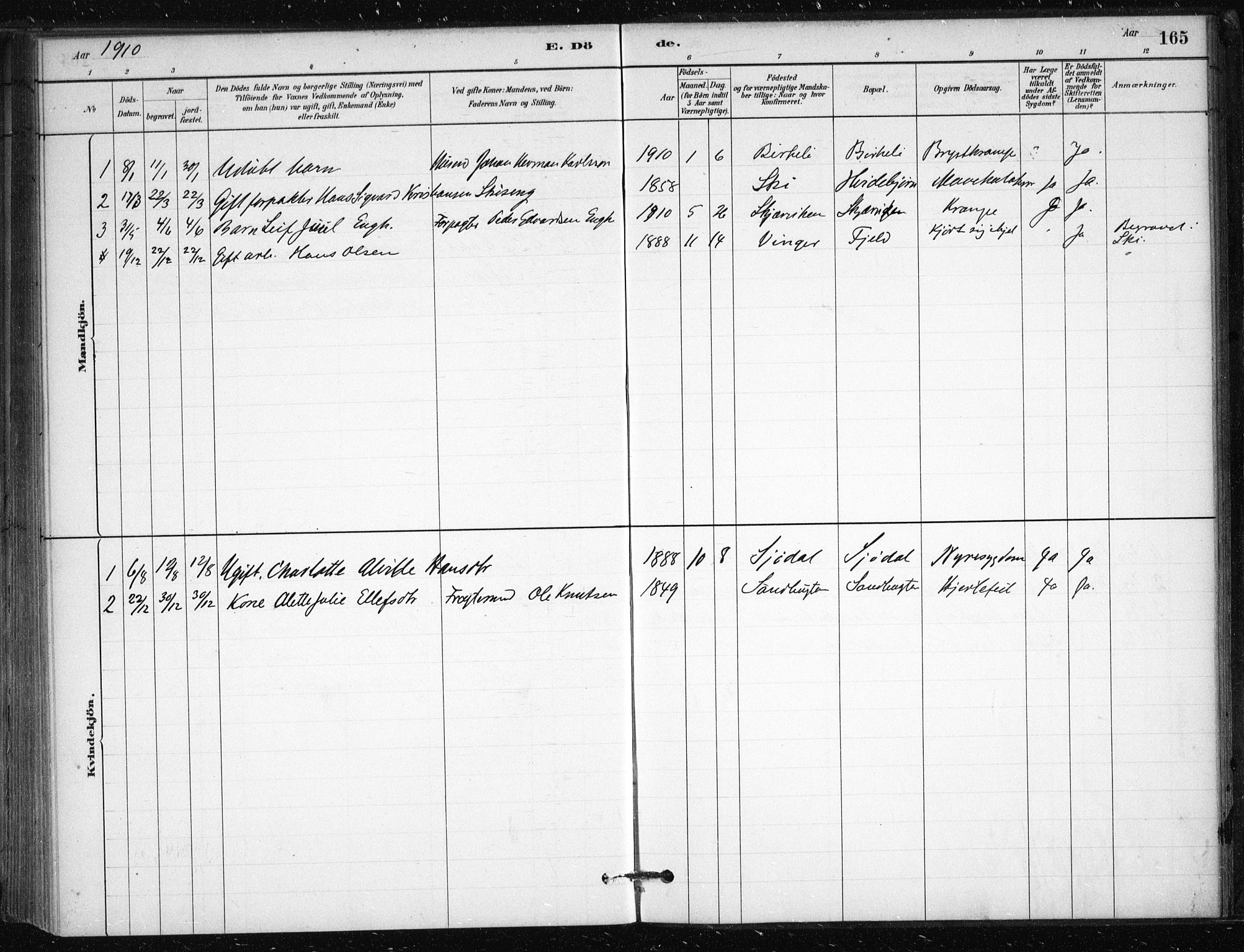 Nesodden prestekontor Kirkebøker, AV/SAO-A-10013/F/Fb/L0001: Parish register (official) no. II 1, 1880-1915, p. 165