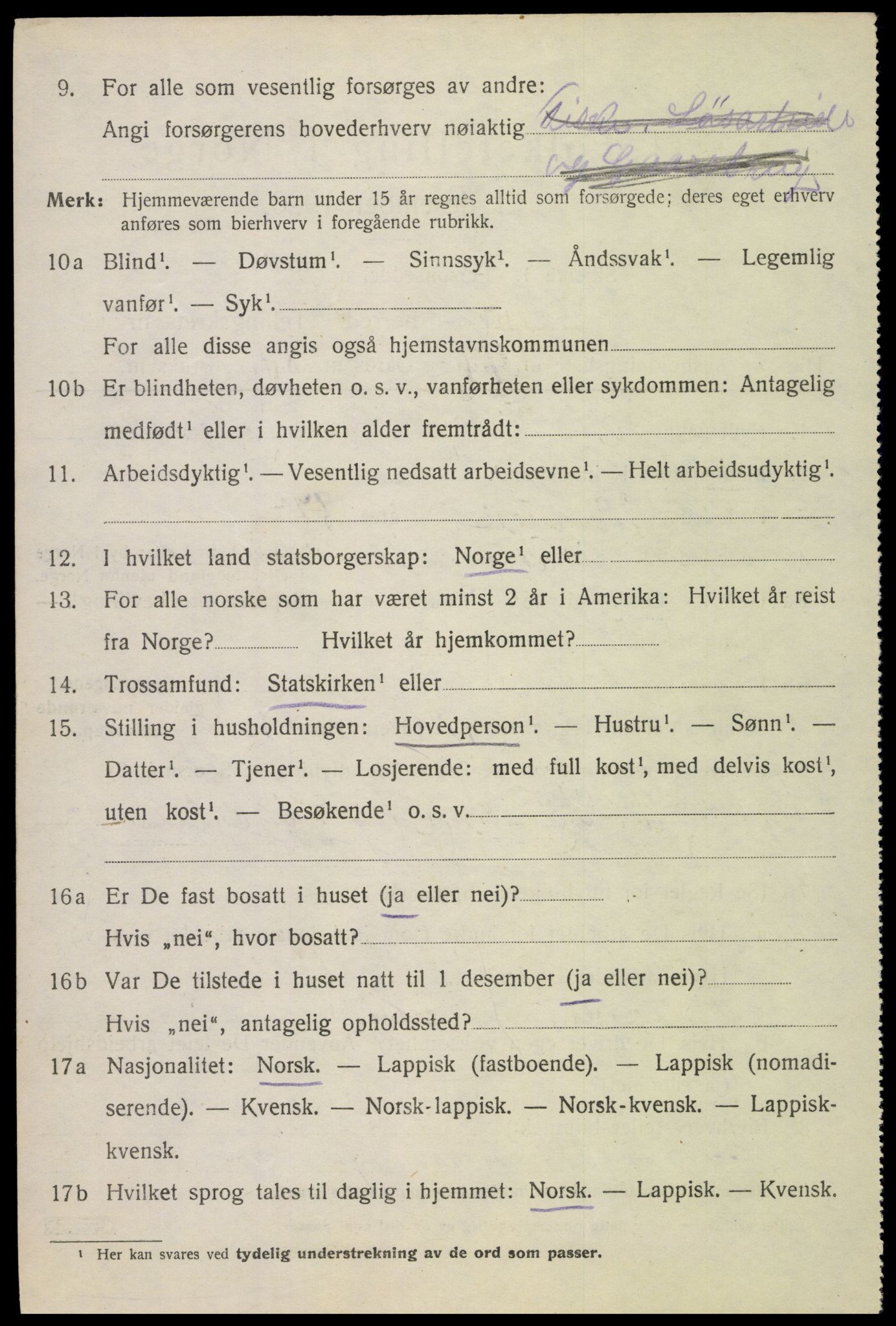 SAT, 1920 census for Hadsel, 1920, p. 19917