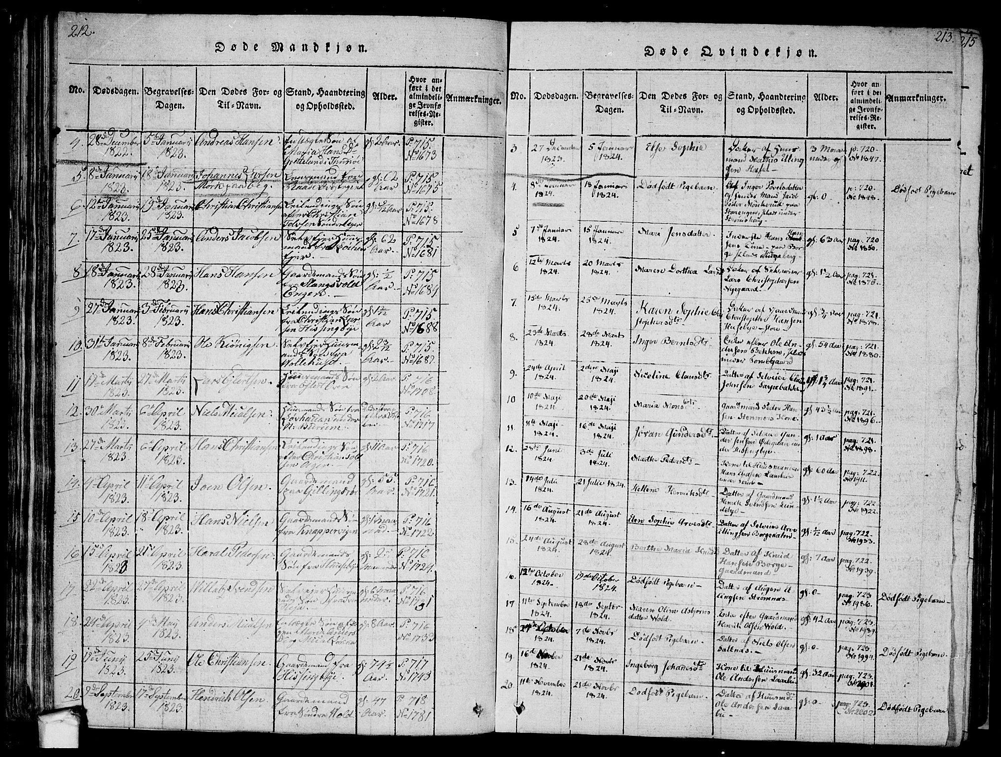 Råde prestekontor kirkebøker, AV/SAO-A-2009/F/Fa/L0004: Parish register (official) no. 4, 1814-1830, p. 212-213