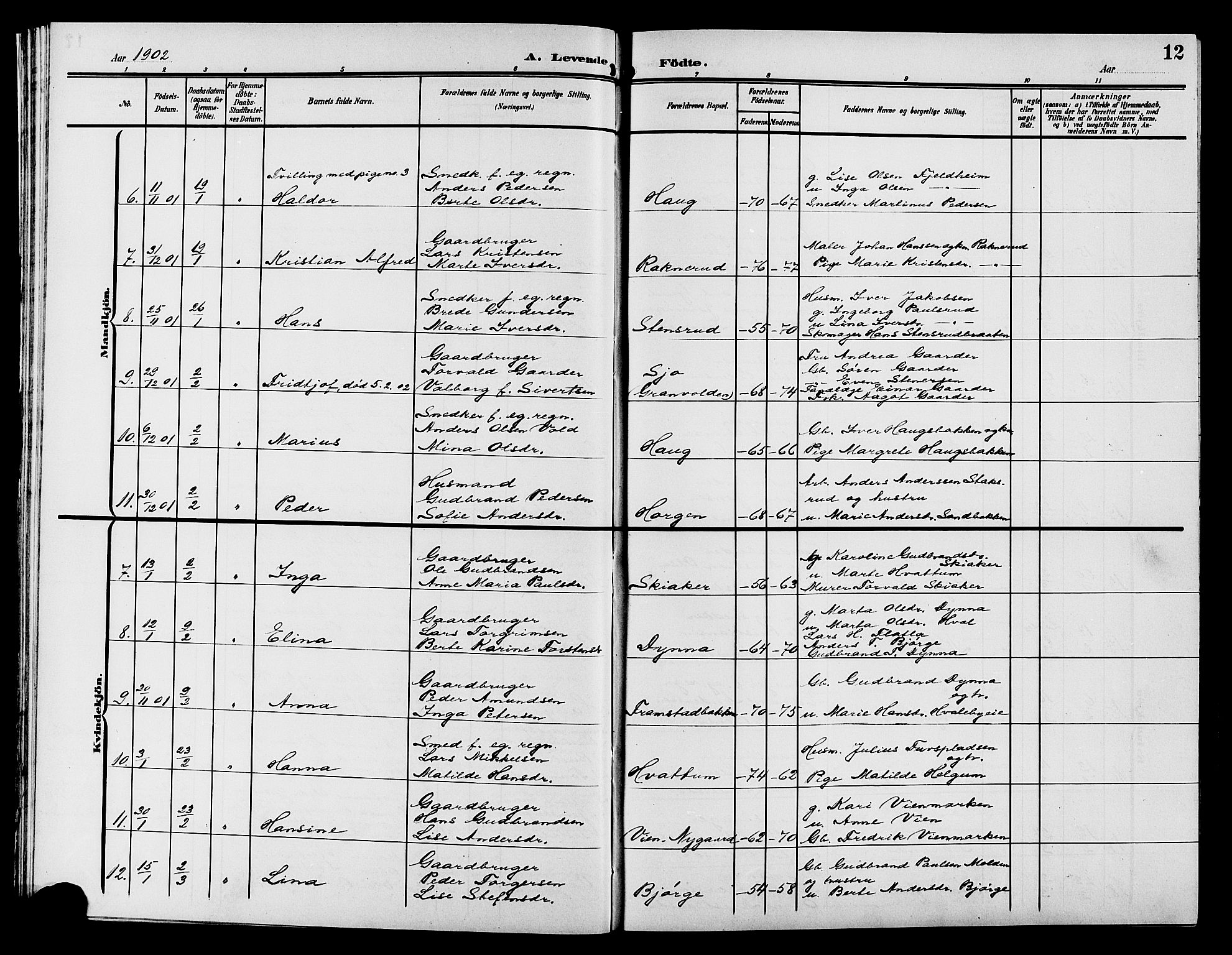 Gran prestekontor, SAH/PREST-112/H/Ha/Hab/L0006: Parish register (copy) no. 6, 1901-1911, p. 12