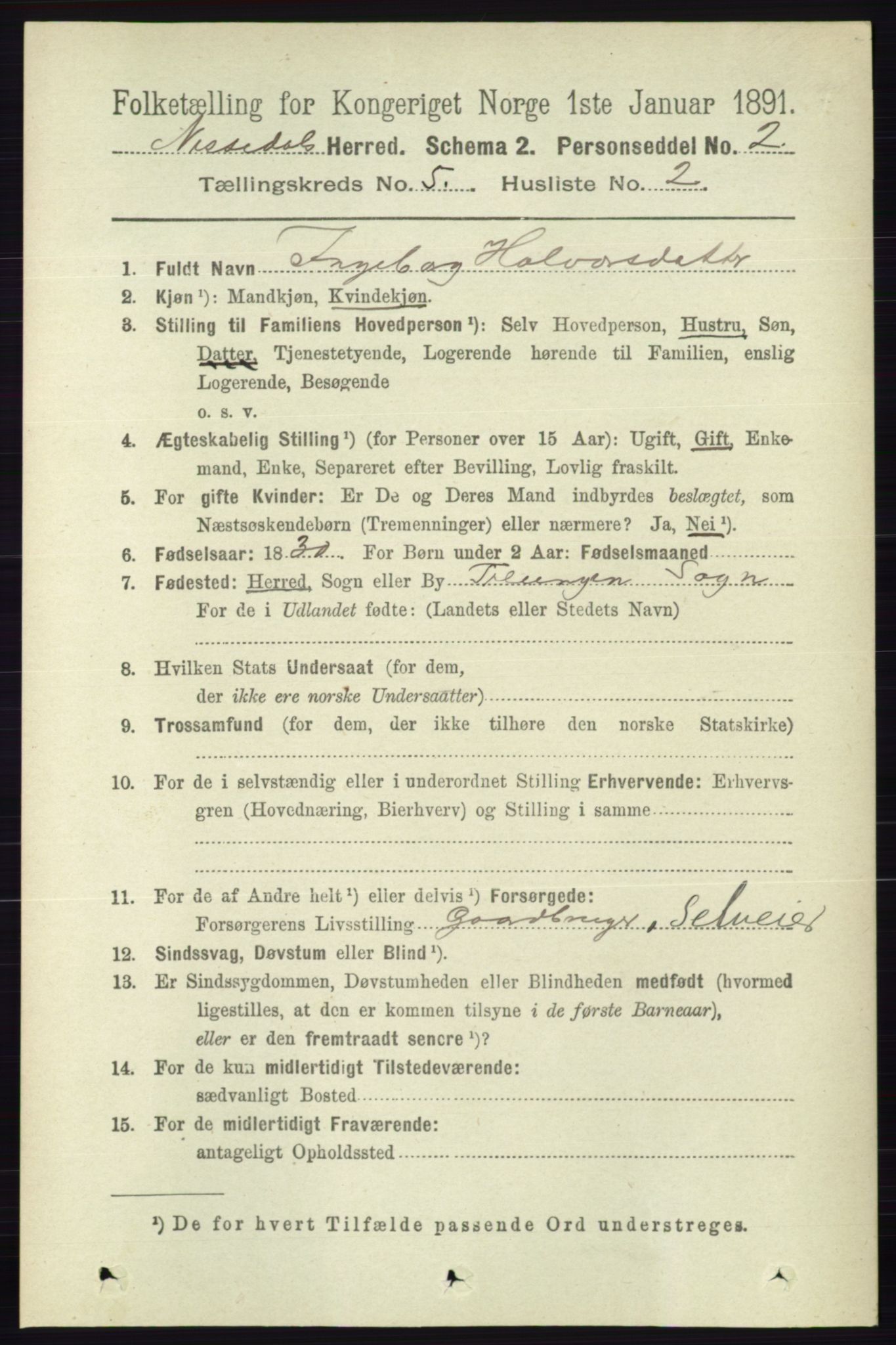 RA, 1891 census for 0830 Nissedal, 1891, p. 1106