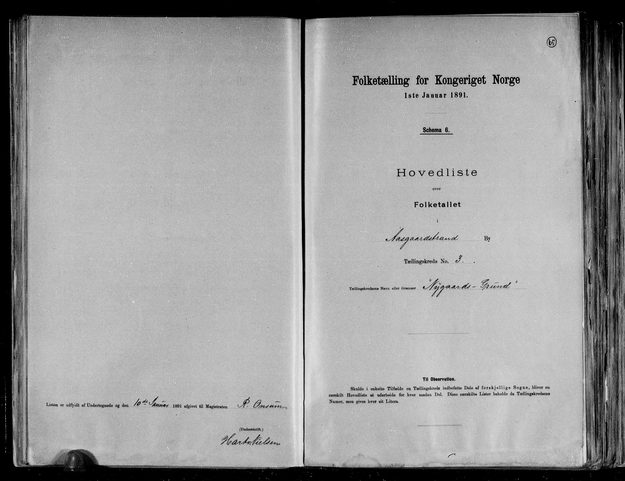 RA, 1891 census for 0704 Åsgårdstrand, 1891, p. 8