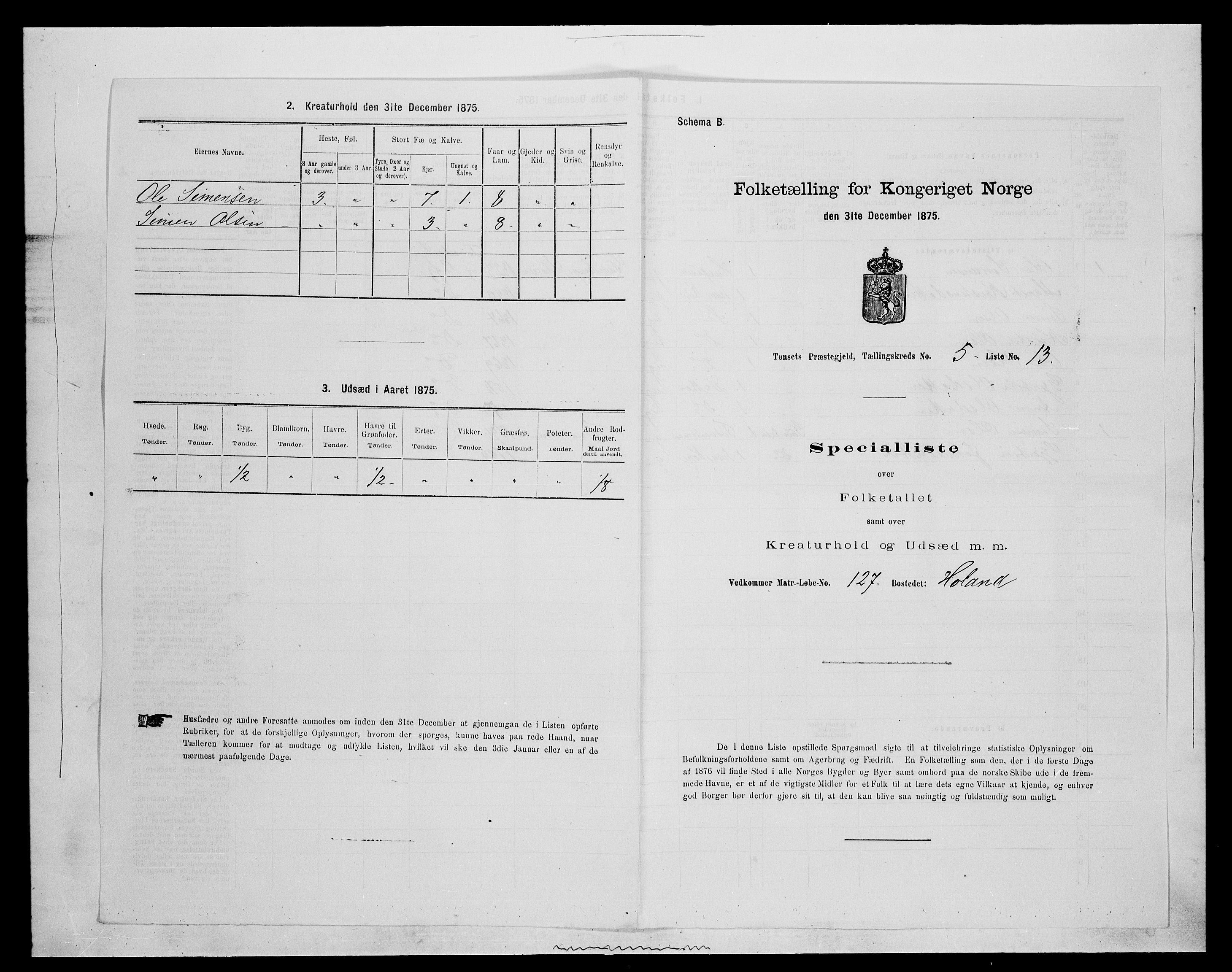 SAH, 1875 census for 0437P Tynset, 1875, p. 589