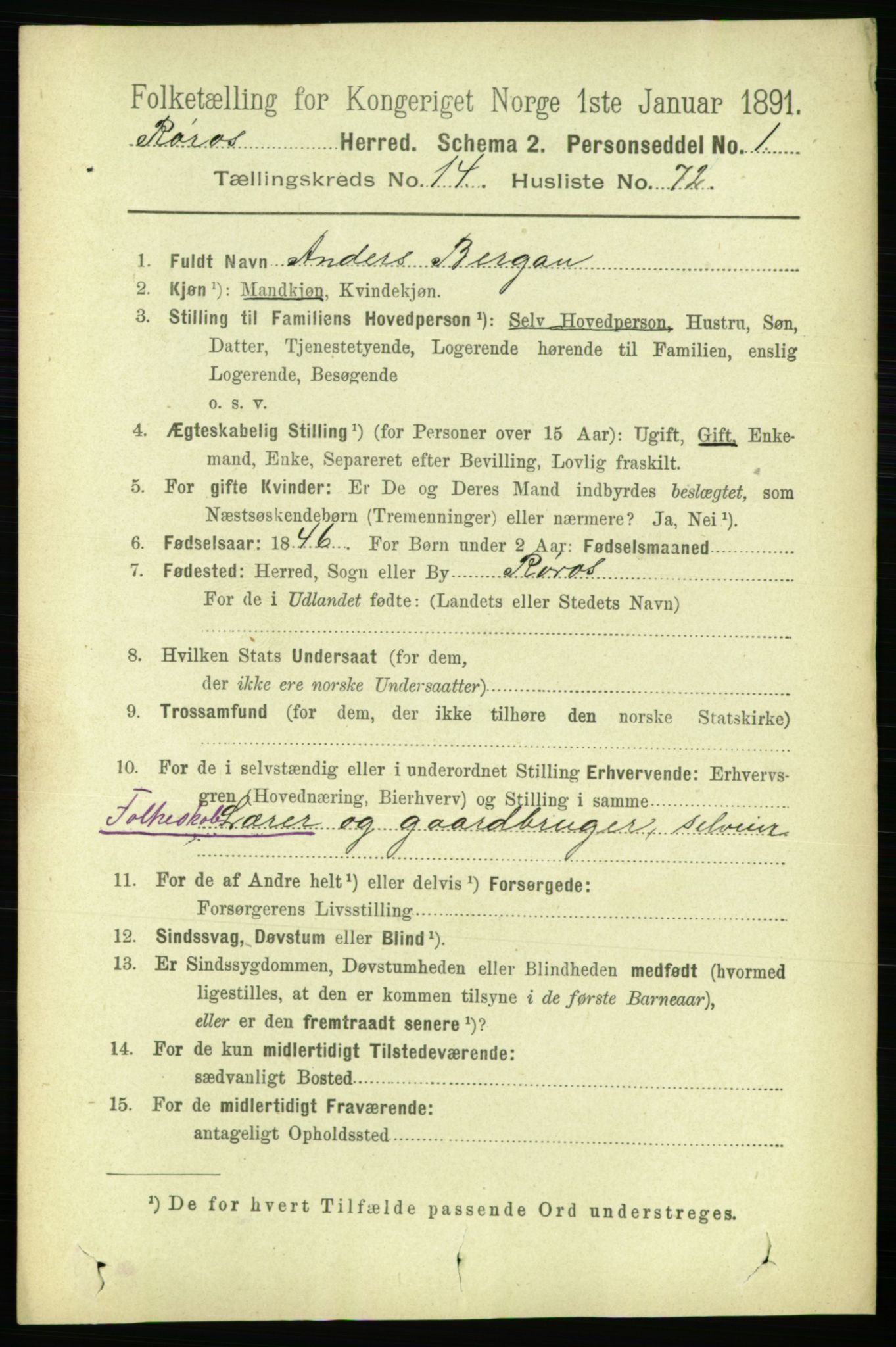 RA, 1891 census for 1640 Røros, 1891, p. 3252